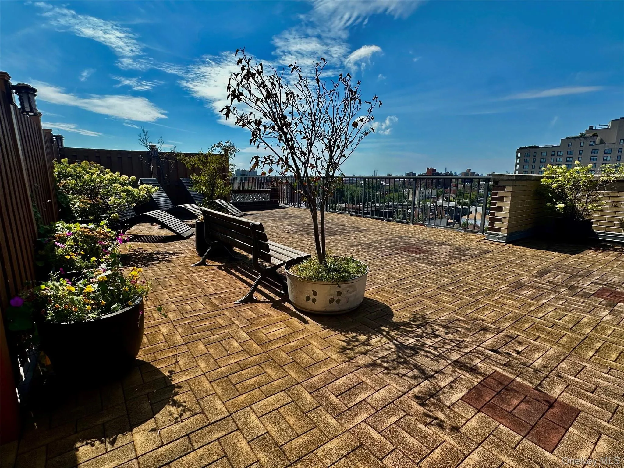 37-31 73rd Street Street, New York, NY, 1 Bedroom Bedrooms, 4 Rooms Rooms,1 BathroomBathrooms,Residential,For Rent,Street,0,1055667 37-31 73rd Street Street, New York, NY, 1 Bedroom Bedrooms, 4 Rooms Rooms,1 BathroomBathrooms,Residential,For Rent,Street,0,1055667