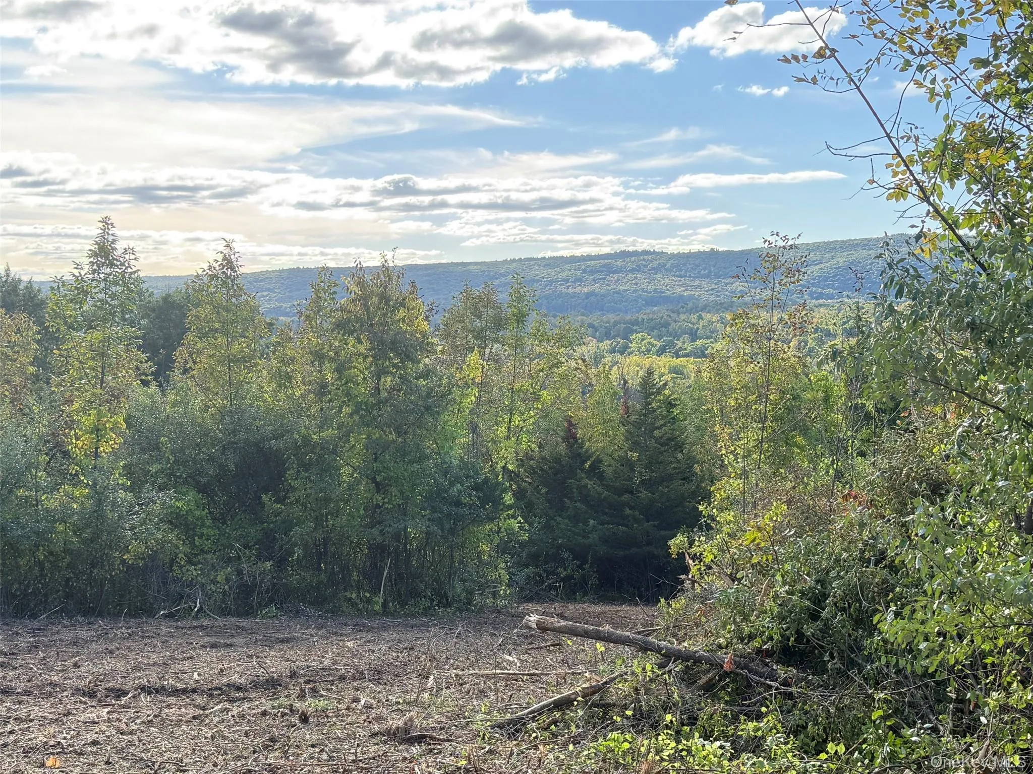 Lot # 11 Westerly Ridge Drive, Amenia, NY, ,Land,For Rent,Westerly Ridge,0,1055671 Lot # 11 Westerly Ridge Drive, Amenia, NY, ,Land,For Rent,Westerly Ridge,0,1055671