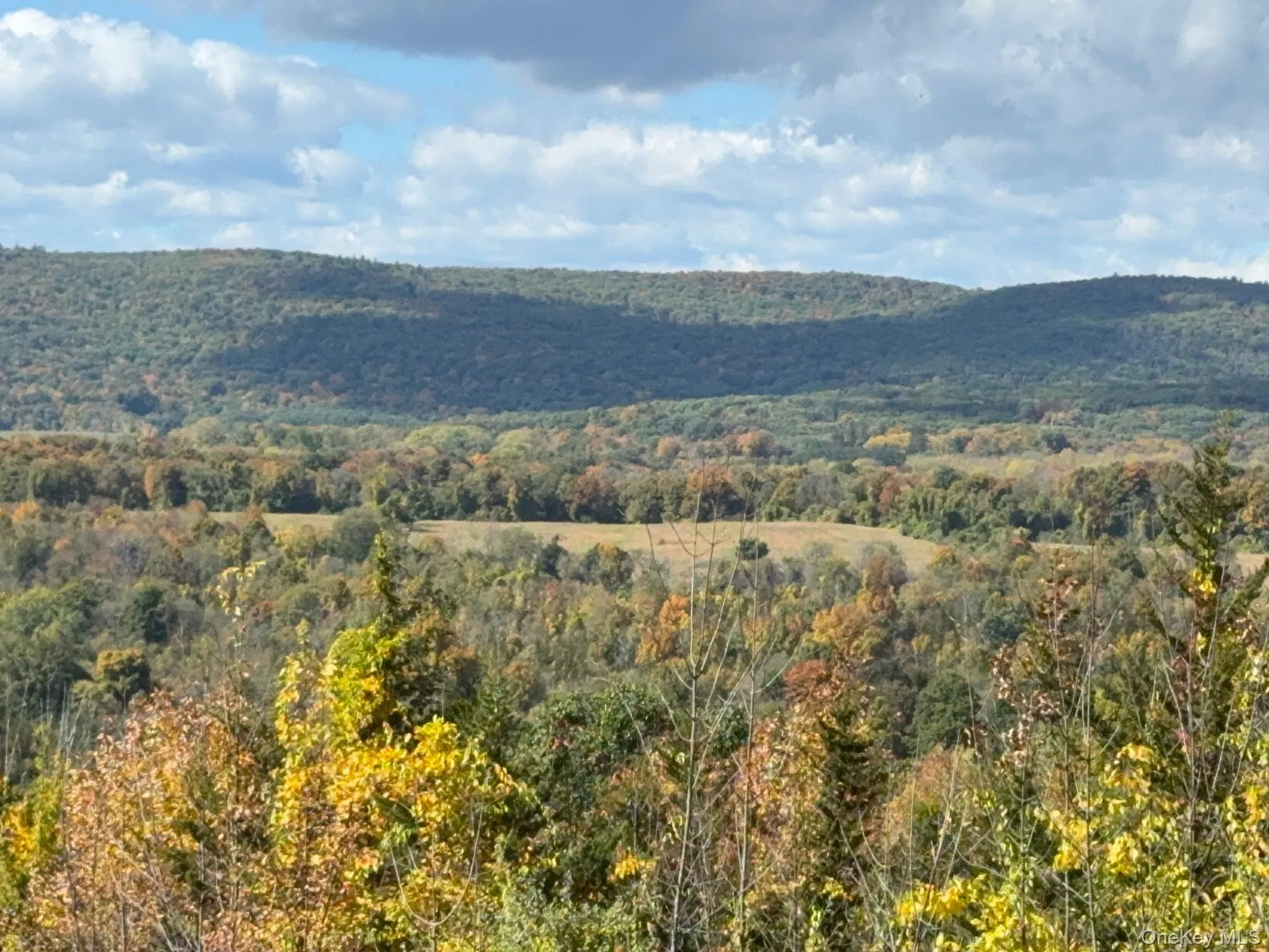 Lot # 11 Westerly Ridge Drive, Amenia, NY, ,Land,For Rent,Westerly Ridge,0,1055671 Lot # 11 Westerly Ridge Drive, Amenia, NY, ,Land,For Rent,Westerly Ridge,0,1055671