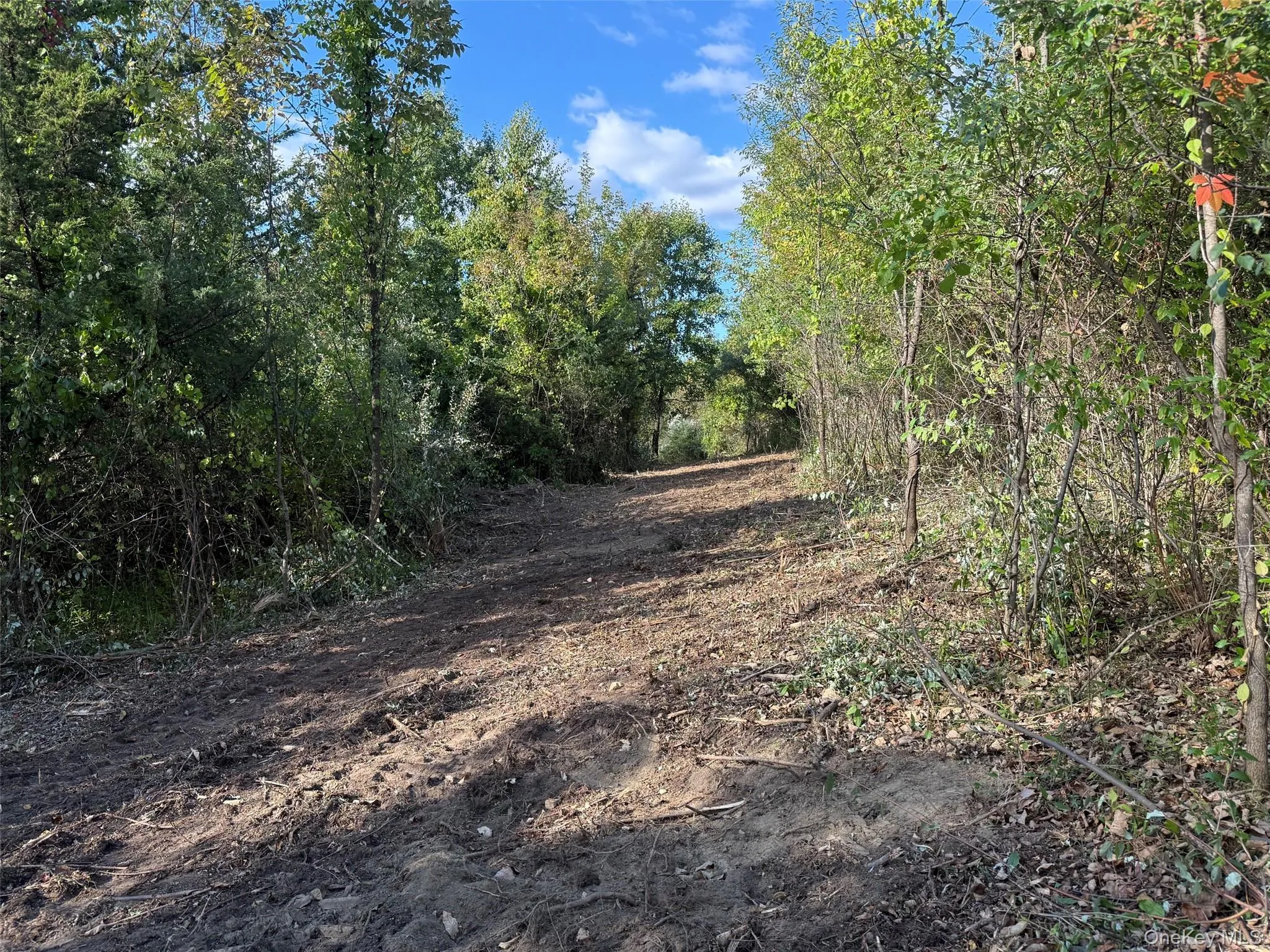Lot # 11 Westerly Ridge Drive, Amenia, NY, ,Land,For Rent,Westerly Ridge,0,1055671 Lot # 11 Westerly Ridge Drive, Amenia, NY, ,Land,For Rent,Westerly Ridge,0,1055671