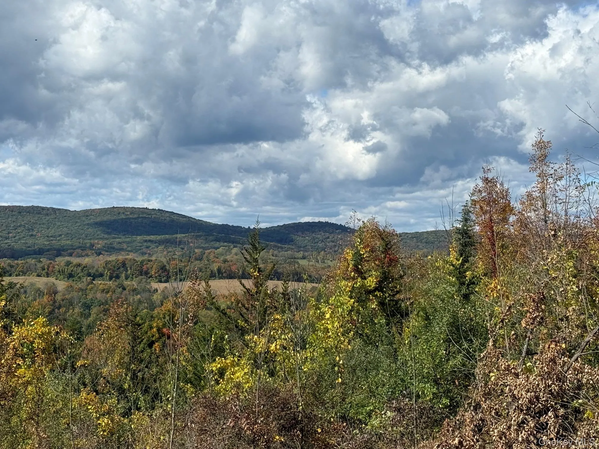 Lot # 11 Westerly Ridge Drive, Amenia, NY, ,Land,For Rent,Westerly Ridge,0,1055671 Lot # 11 Westerly Ridge Drive, Amenia, NY, ,Land,For Rent,Westerly Ridge,0,1055671