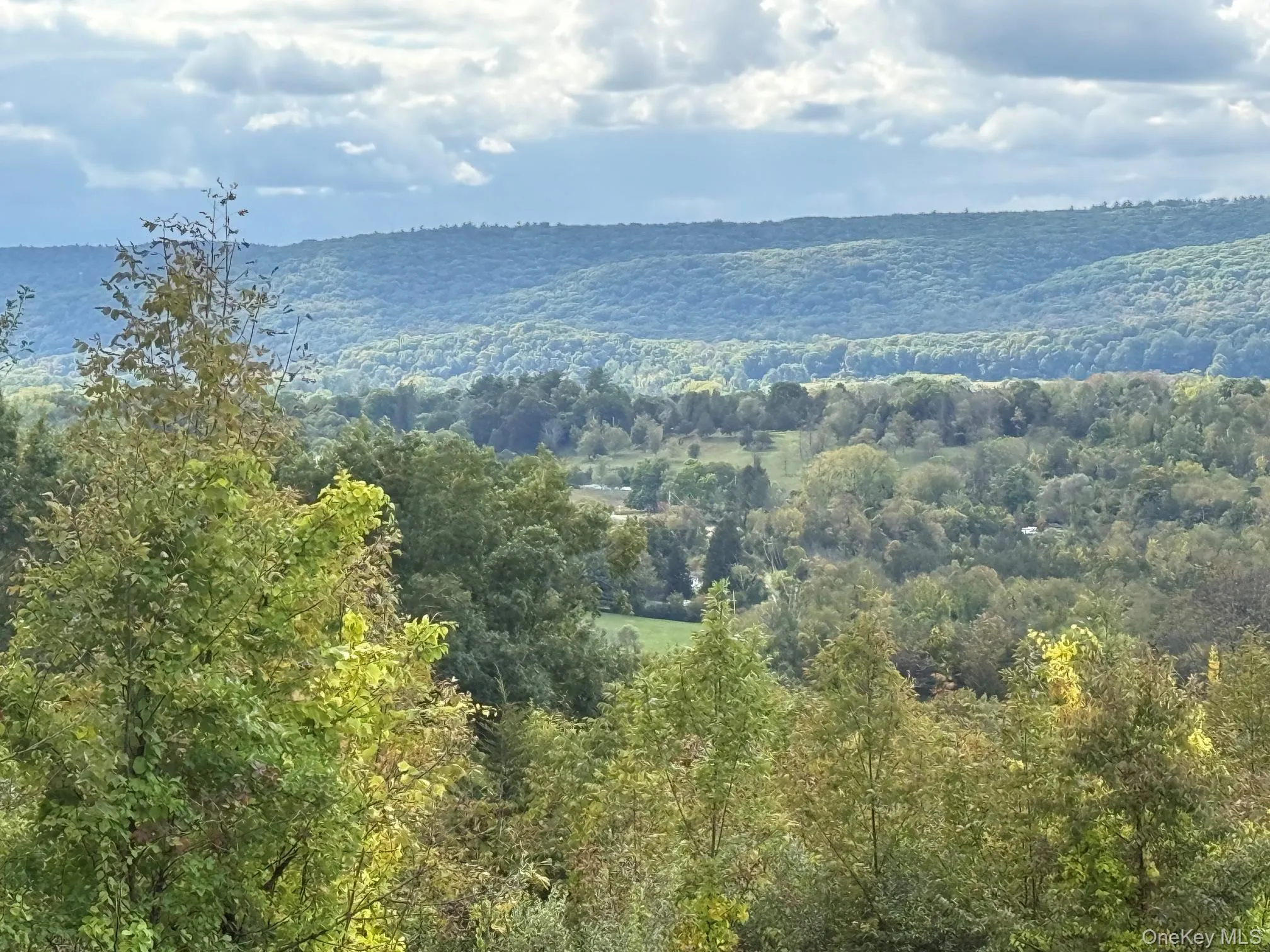 Lot # 11 Westerly Ridge Drive, Amenia, NY, ,Land,For Rent,Westerly Ridge,0,1055671 Lot # 11 Westerly Ridge Drive, Amenia, NY, ,Land,For Rent,Westerly Ridge,0,1055671