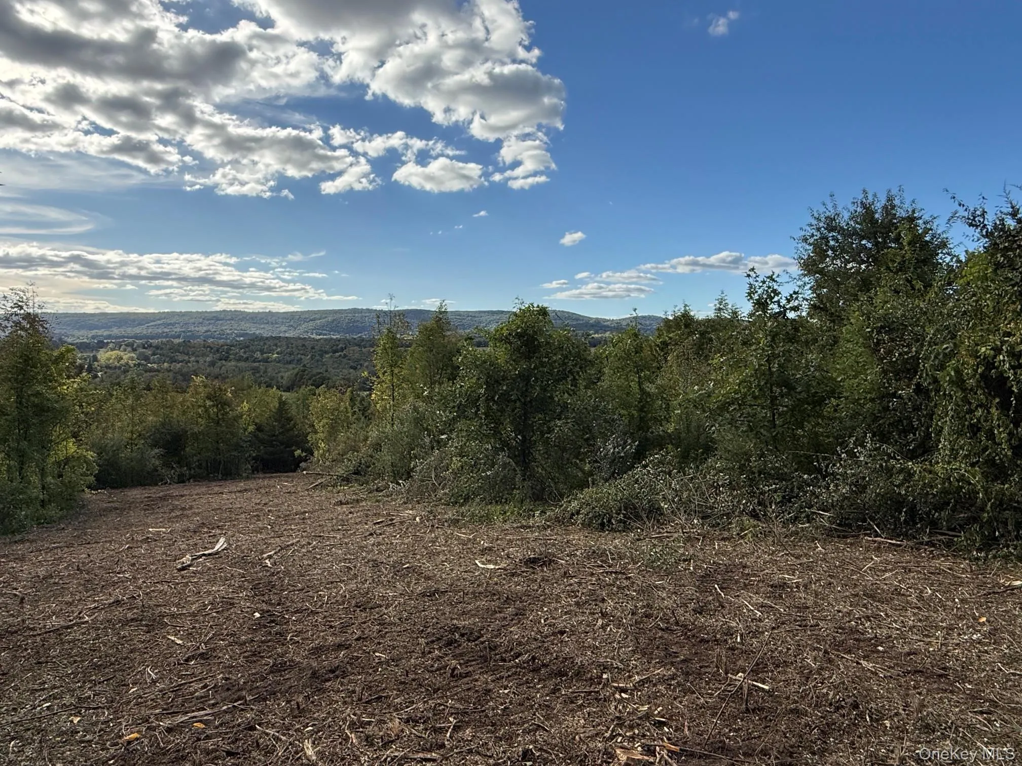 Lot # 11 Westerly Ridge Drive, Amenia, NY, ,Land,For Rent,Westerly Ridge,0,1055671 Lot # 11 Westerly Ridge Drive, Amenia, NY, ,Land,For Rent,Westerly Ridge,0,1055671