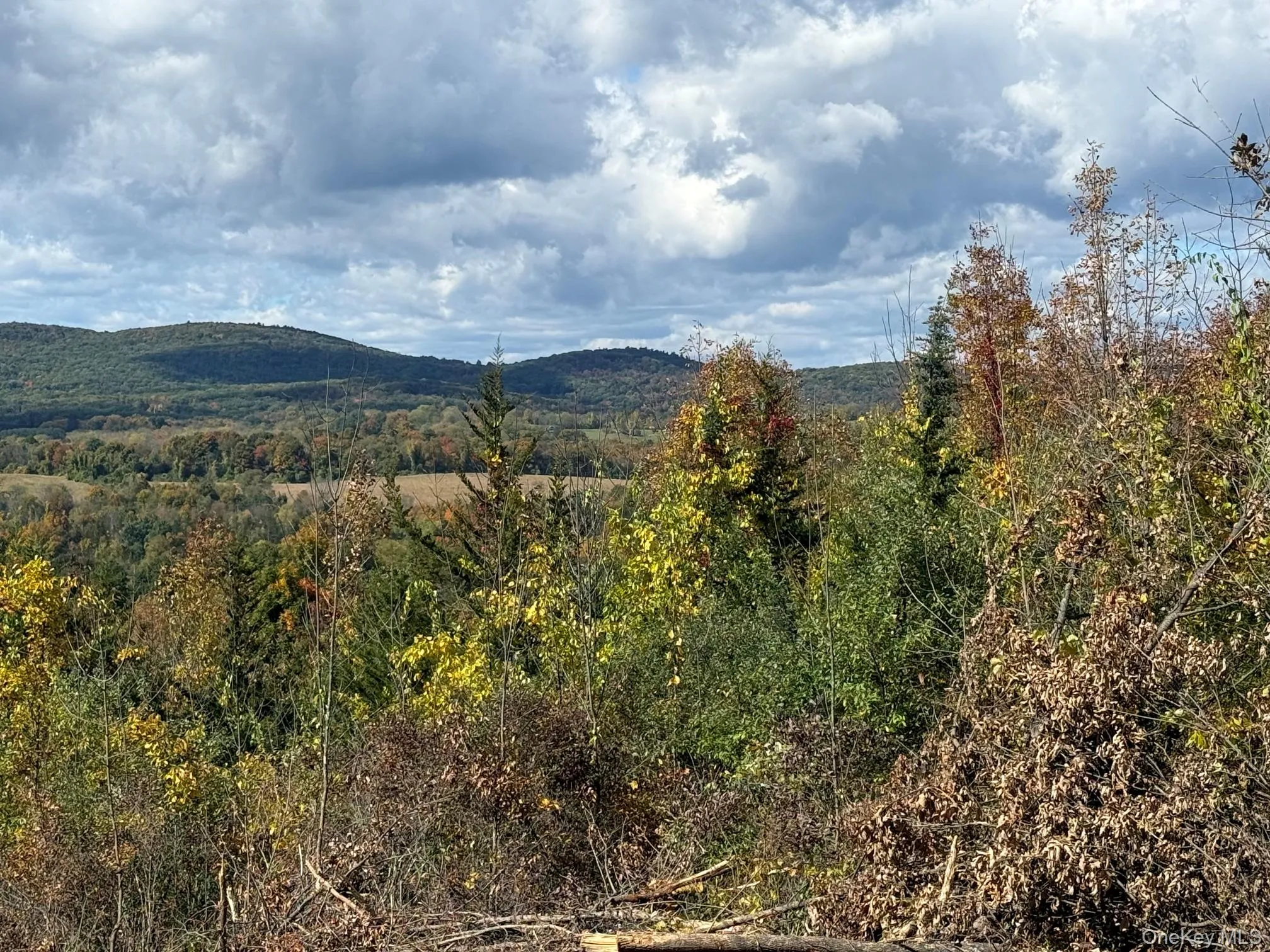 Lot # 11 Westerly Ridge Drive, Amenia, NY, ,Land,For Rent,Westerly Ridge,0,1055671 Lot # 11 Westerly Ridge Drive, Amenia, NY, ,Land,For Rent,Westerly Ridge,0,1055671