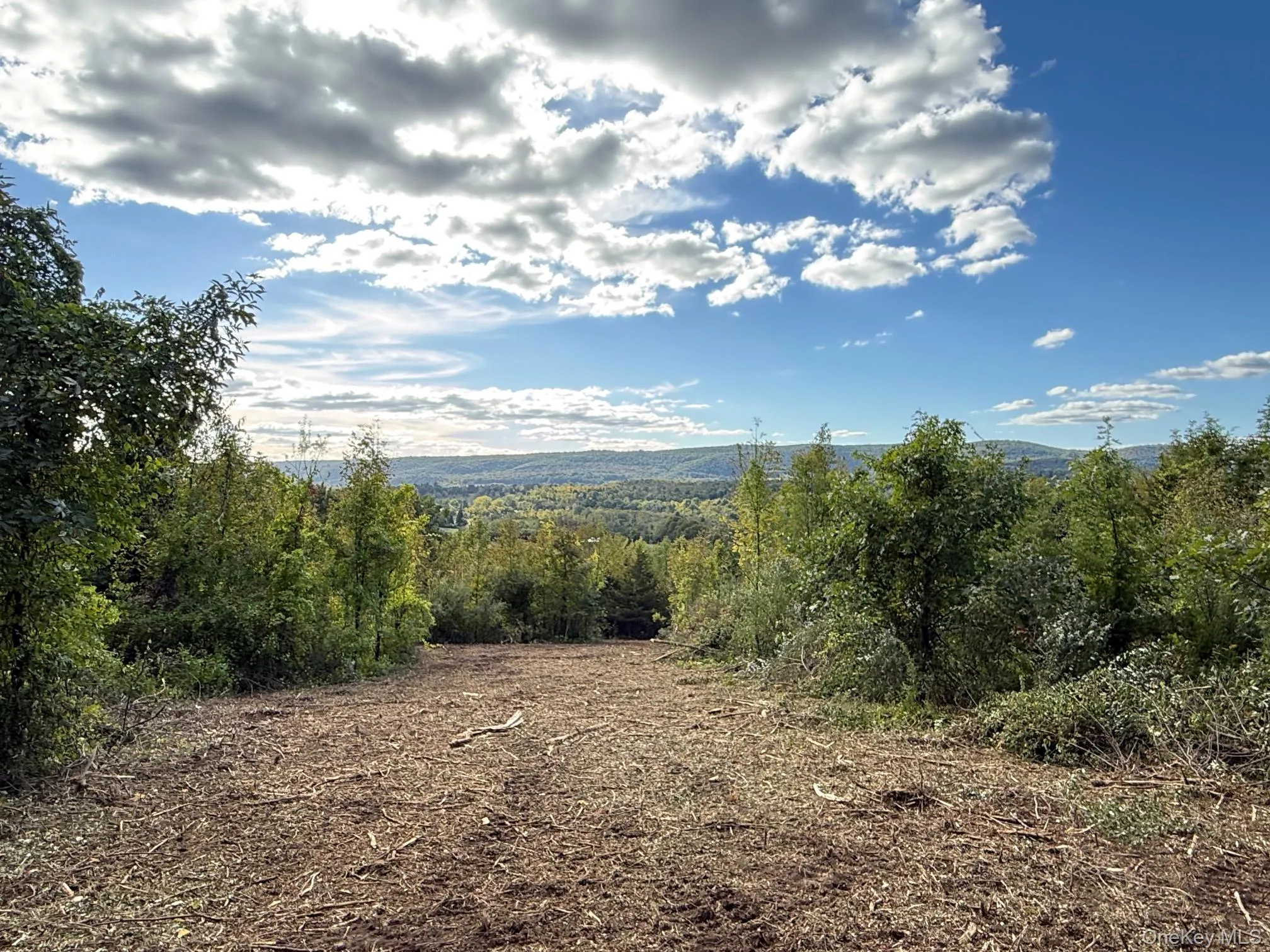 Lot # 11 Westerly Ridge Drive, Amenia, NY, ,Land,For Rent,Westerly Ridge,0,1055671 Lot # 11 Westerly Ridge Drive, Amenia, NY, ,Land,For Rent,Westerly Ridge,0,1055671