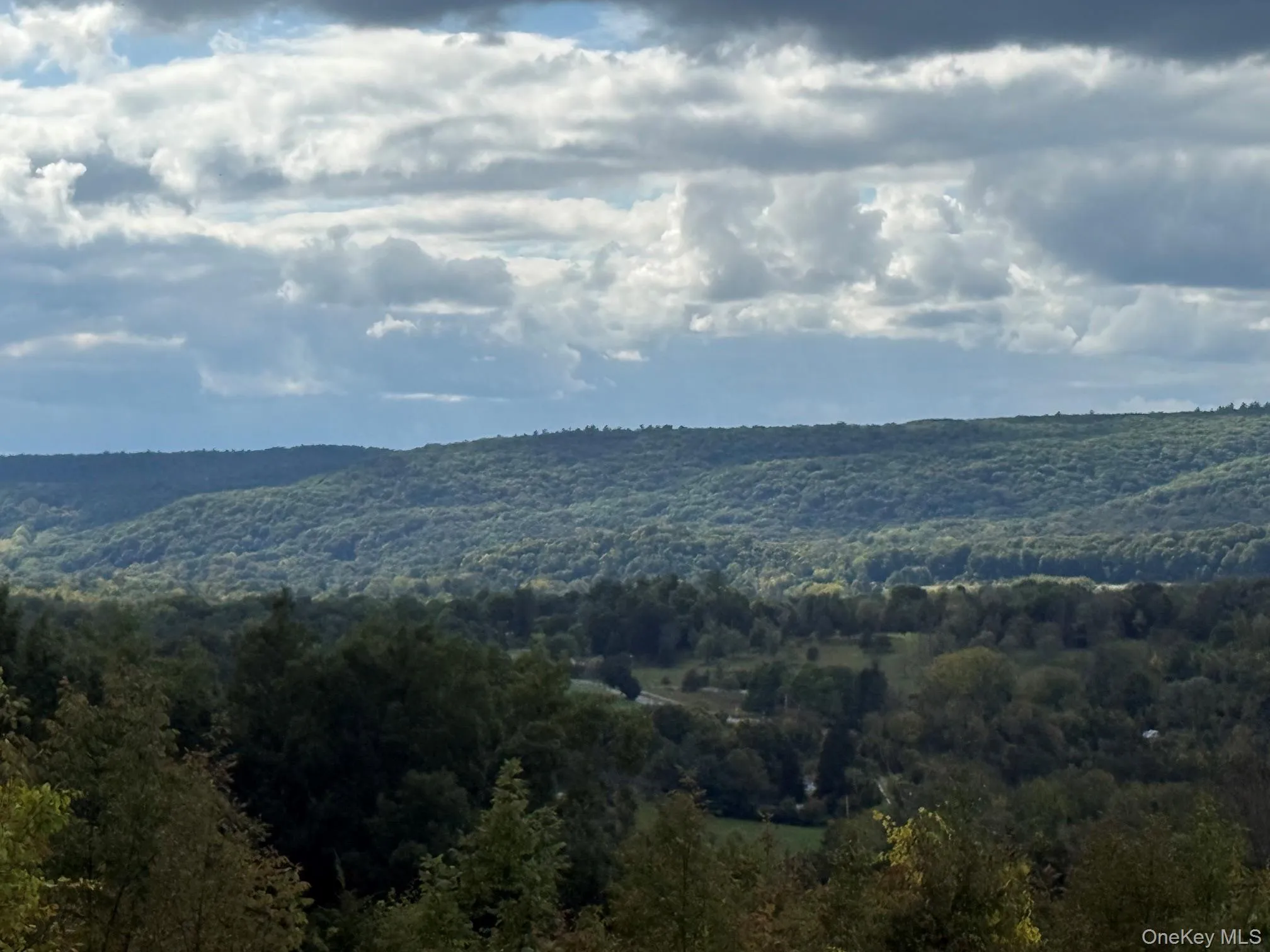 Lot # 11 Westerly Ridge Drive, Amenia, NY, ,Land,For Rent,Westerly Ridge,0,1055671 Lot # 11 Westerly Ridge Drive, Amenia, NY, ,Land,For Rent,Westerly Ridge,0,1055671