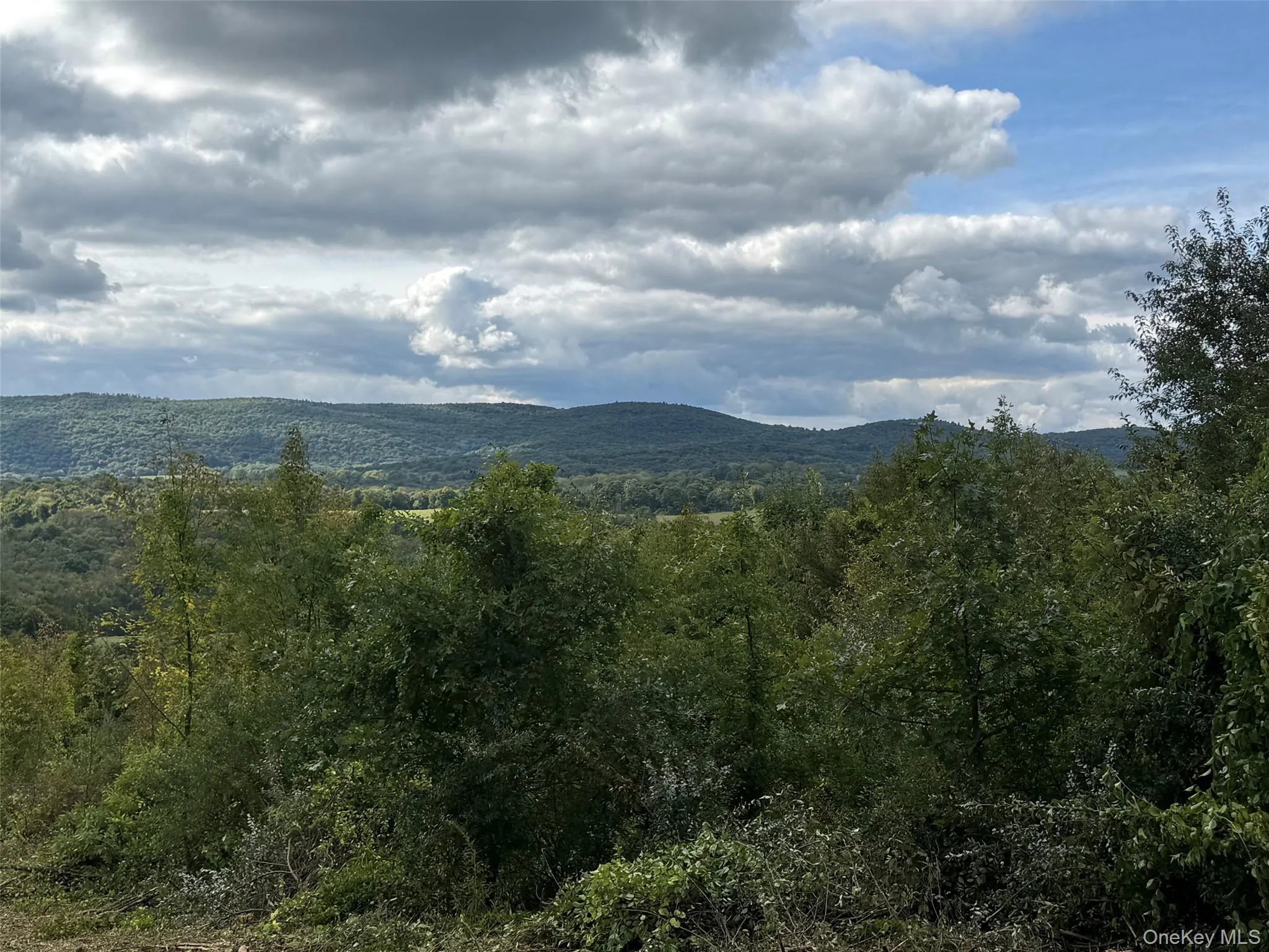 Lot # 11 Westerly Ridge Drive, Amenia, NY, ,Land,For Rent,Westerly Ridge,0,1055671 Lot # 11 Westerly Ridge Drive, Amenia, NY, ,Land,For Rent,Westerly Ridge,0,1055671