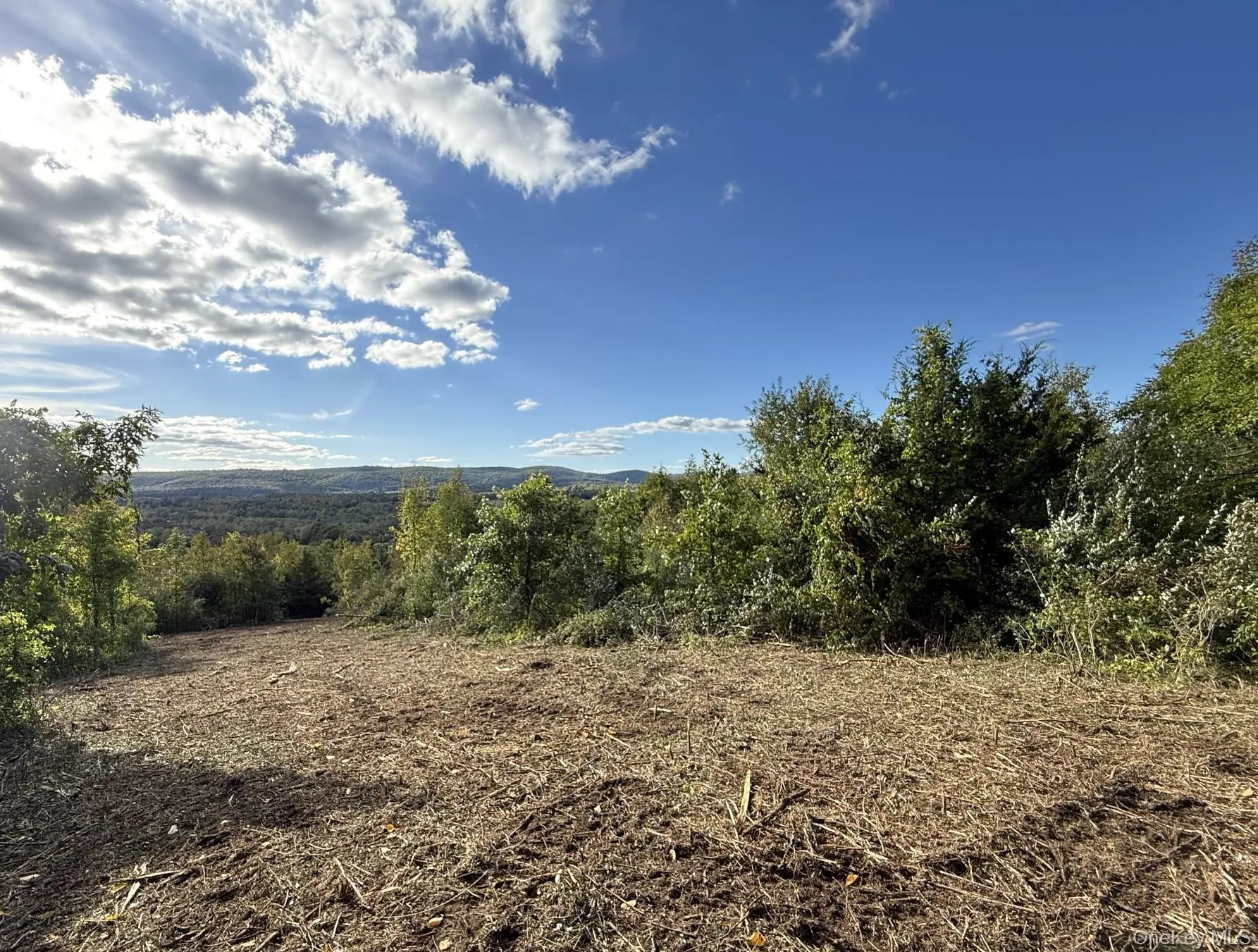 Lot # 11 Westerly Ridge Drive, Amenia, NY, ,Land,For Rent,Westerly Ridge,0,1055671 Lot # 11 Westerly Ridge Drive, Amenia, NY, ,Land,For Rent,Westerly Ridge,0,1055671