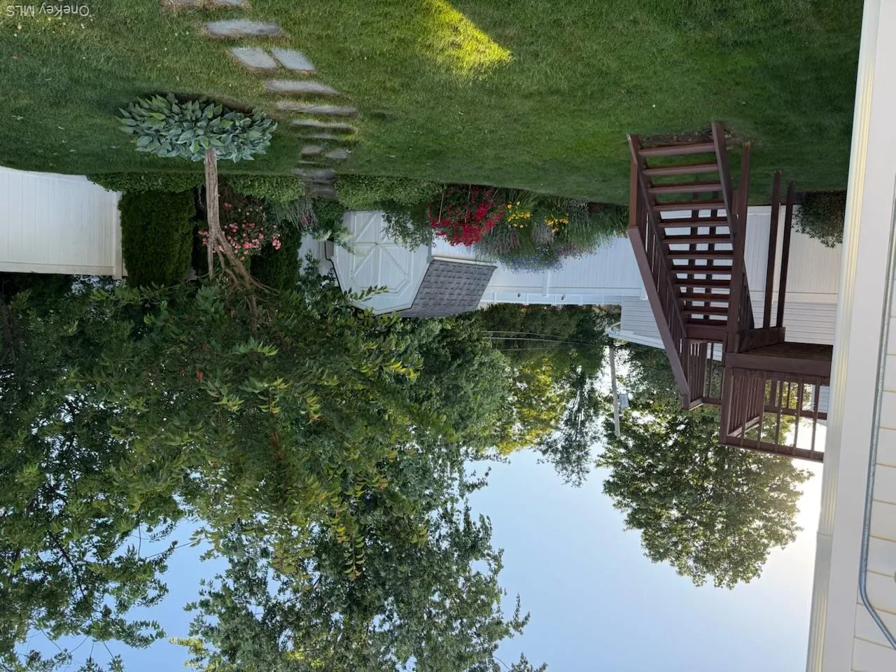 Summer Photo Summer Photo