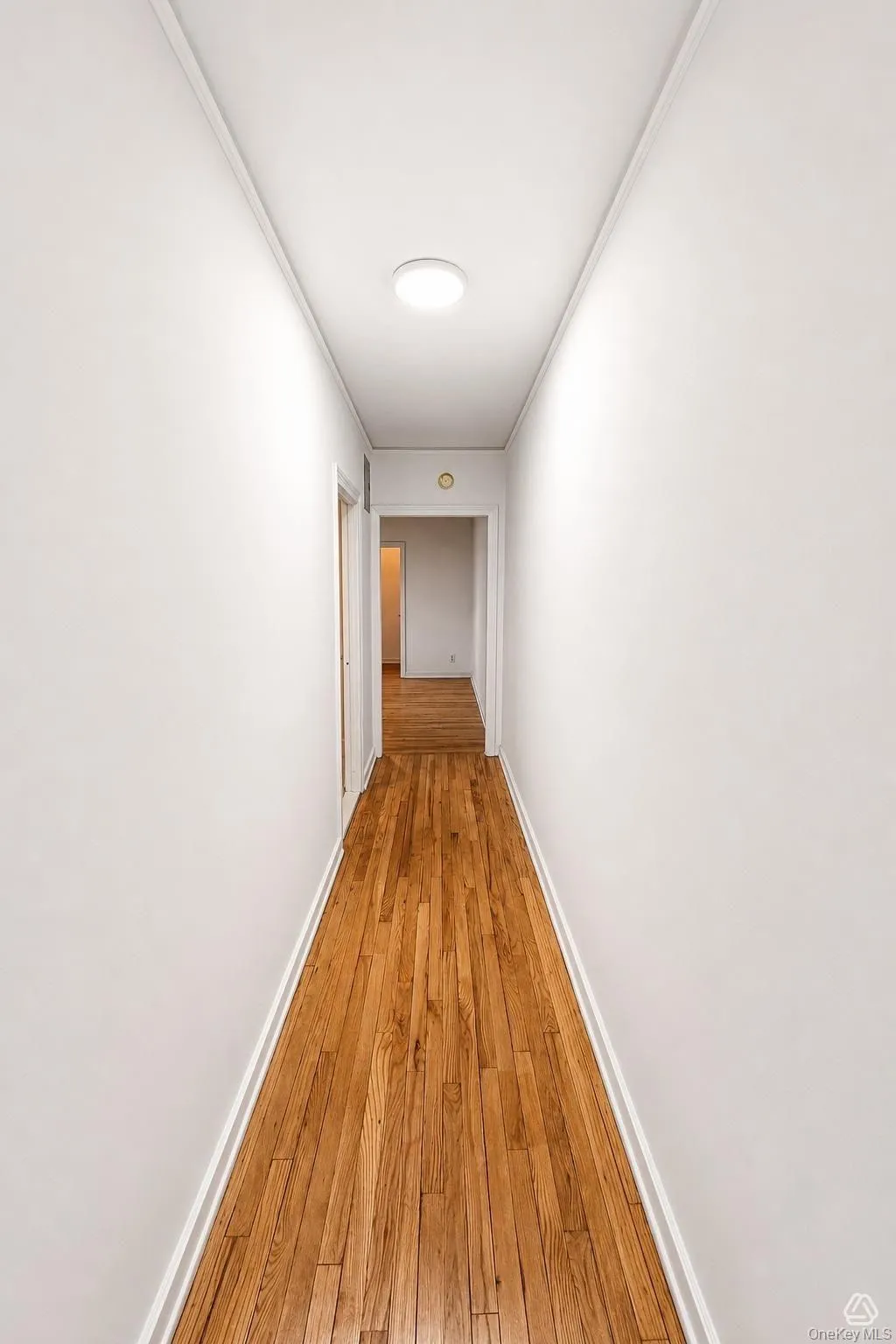 30-15 Hobart Street, New York, NY, 2 Rooms Rooms,1 BathroomBathrooms,Residential Lease,For Rent,Hobart,0,1055698 30-15 Hobart Street, New York, NY, 2 Rooms Rooms,1 BathroomBathrooms,Residential Lease,For Rent,Hobart,0,1055698