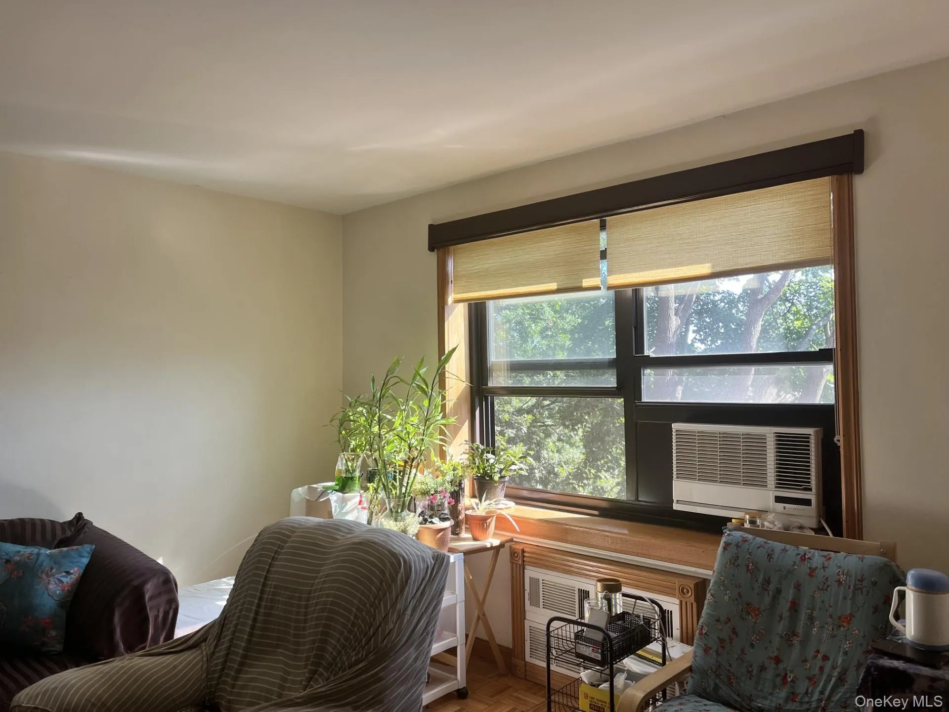 213-02 73rd Avenue, New York, NY, 1 Bedroom Bedrooms, 4 Rooms Rooms,1 BathroomBathrooms,Residential,For Rent,73rd,0,1055713 213-02 73rd Avenue, New York, NY, 1 Bedroom Bedrooms, 4 Rooms Rooms,1 BathroomBathrooms,Residential,For Rent,73rd,0,1055713