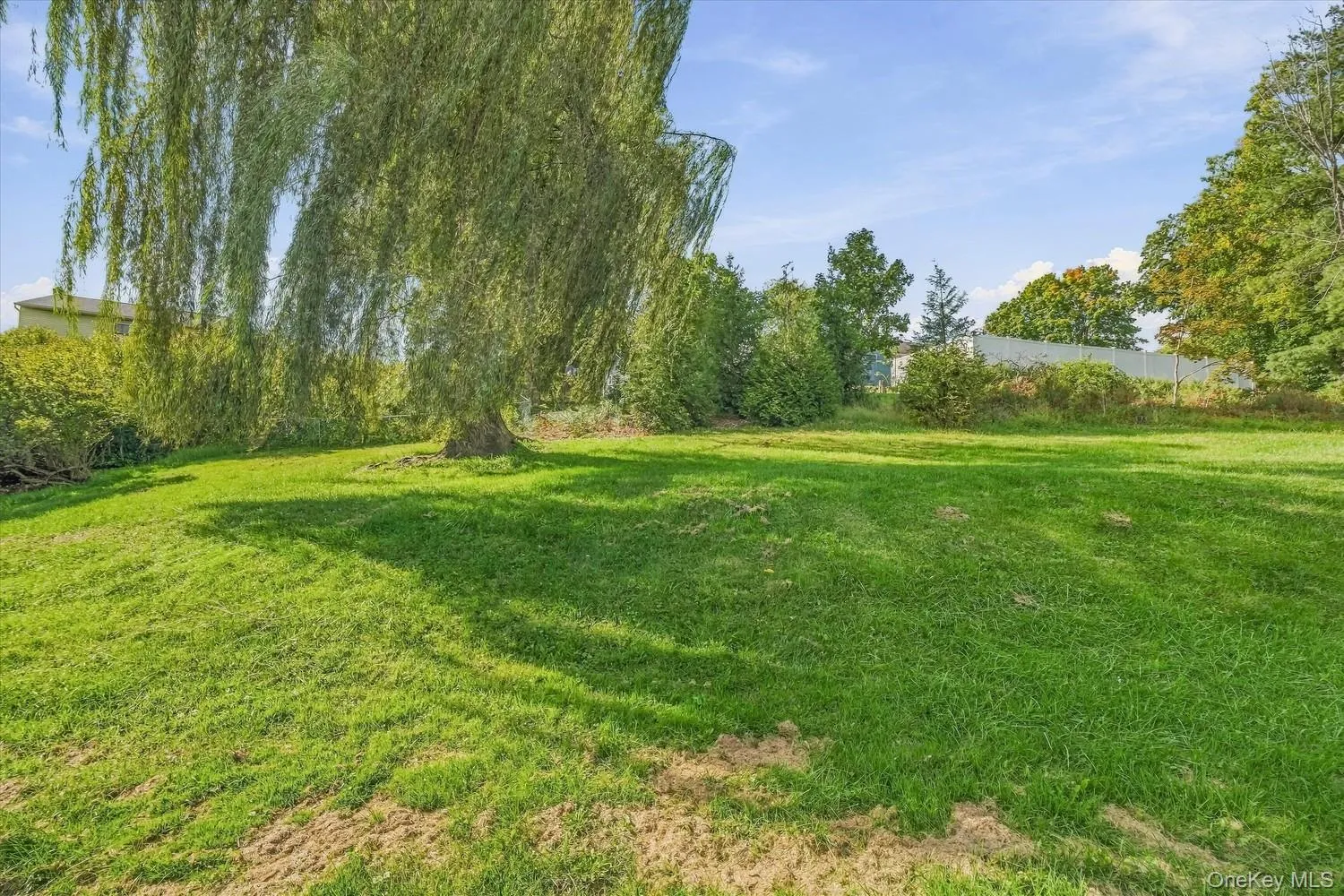 5 Bird Lane, Poughkeepsie, NY, 3 Bedrooms Bedrooms, 6 Rooms Rooms,2 BathroomsBathrooms,Residential,For Rent,Bird,0,1055735 5 Bird Lane, Poughkeepsie, NY, 3 Bedrooms Bedrooms, 6 Rooms Rooms,2 BathroomsBathrooms,Residential,For Rent,Bird,0,1055735