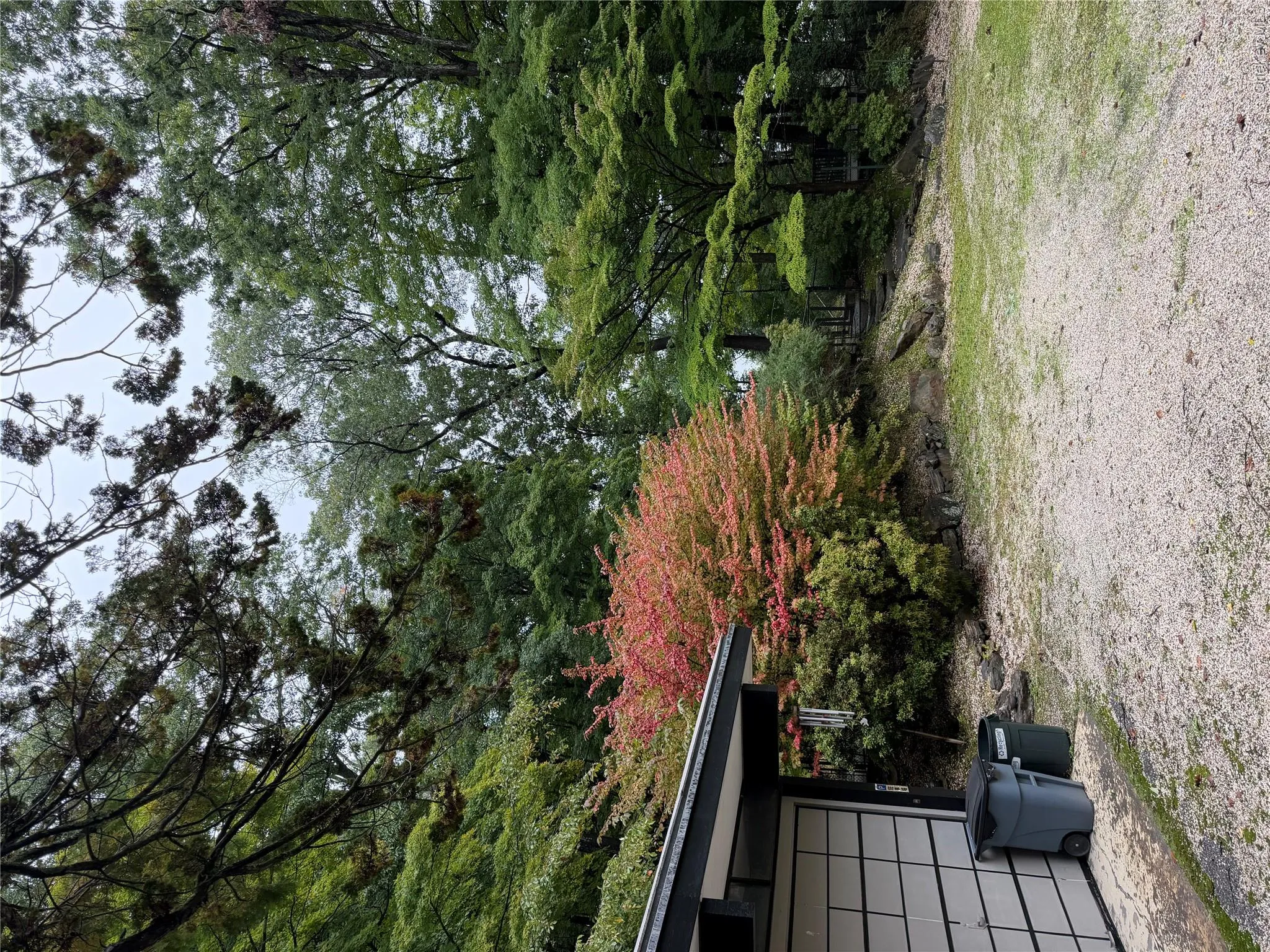 301 Roaring Brook Road, New Castle, NY, 7 Bedrooms Bedrooms, 10 Rooms Rooms,7 BathroomsBathrooms,Residential,For Rent,Roaring Brook,0,1055737 301 Roaring Brook Road, New Castle, NY, 7 Bedrooms Bedrooms, 10 Rooms Rooms,7 BathroomsBathrooms,Residential,For Rent,Roaring Brook,0,1055737