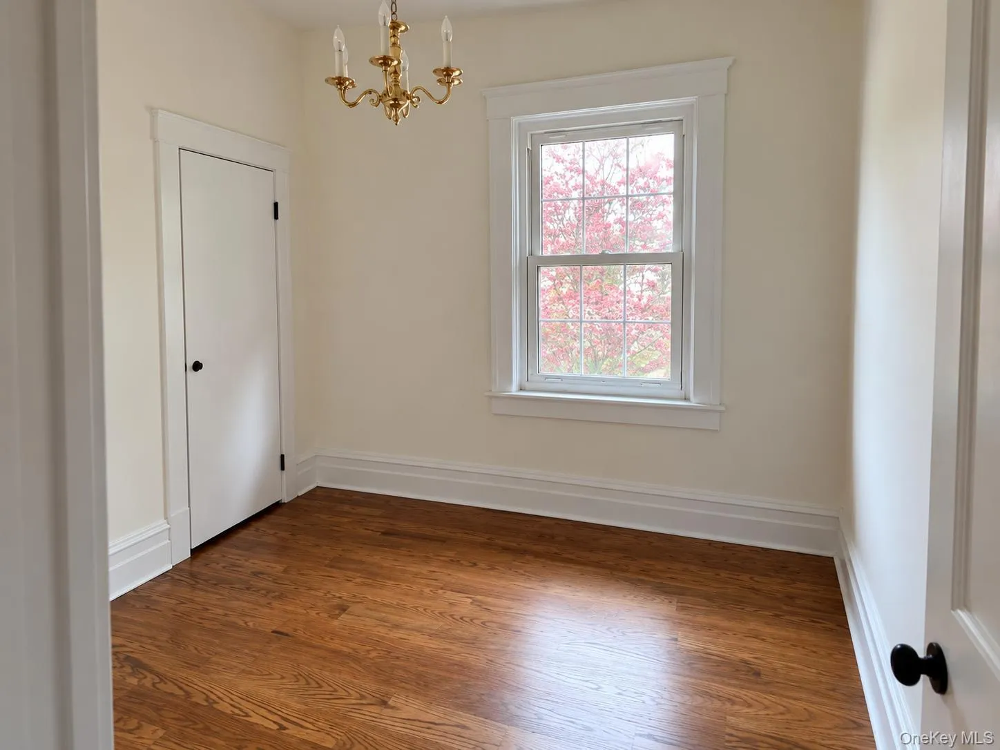 141 aka 145 Buckingham Road, Yonkers, NY, 5 Bedrooms Bedrooms, 10 Rooms Rooms,2 BathroomsBathrooms,Residential Lease,For Rent,Buckingham,0,1055739 141 aka 145 Buckingham Road, Yonkers, NY, 5 Bedrooms Bedrooms, 10 Rooms Rooms,2 BathroomsBathrooms,Residential Lease,For Rent,Buckingham,0,1055739