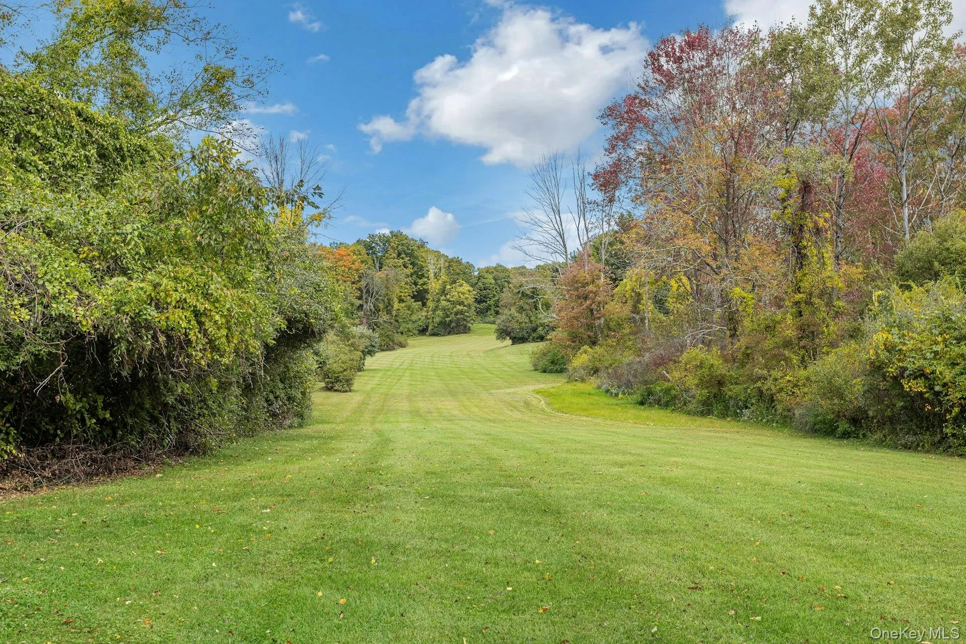 75 Cushman Road, Patterson, NY, 4 Bedrooms Bedrooms, 9 Rooms Rooms,3 BathroomsBathrooms,Residential,For Rent,Cushman,0,1055764 75 Cushman Road, Patterson, NY, 4 Bedrooms Bedrooms, 9 Rooms Rooms,3 BathroomsBathrooms,Residential,For Rent,Cushman,0,1055764