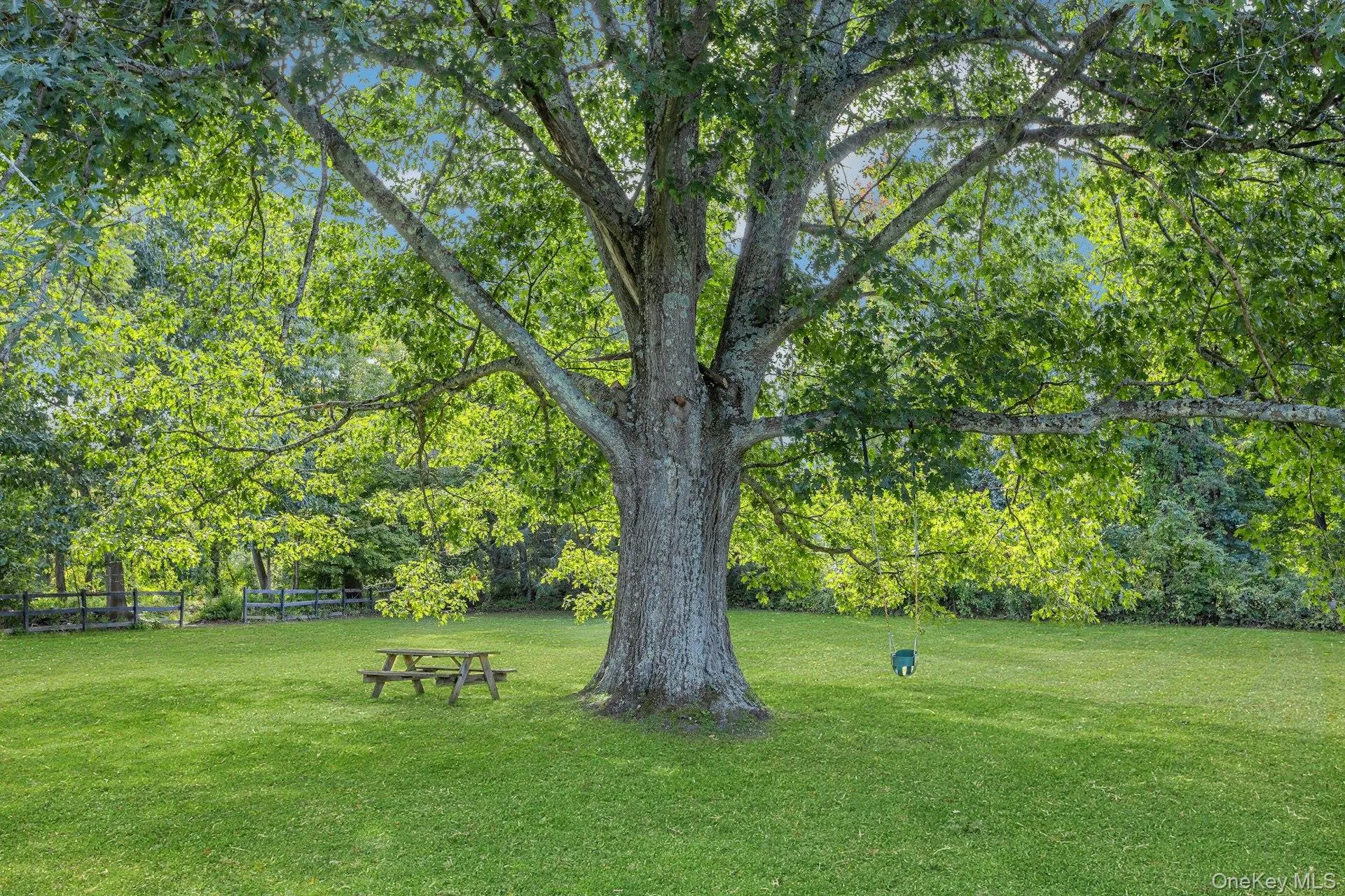Massive mature trees w/full canopies including Oak, Sugar Maple, Black Walnut and Hickory Massive mature trees w/full canopies including Oak, Sugar Maple, Black Walnut and Hickory