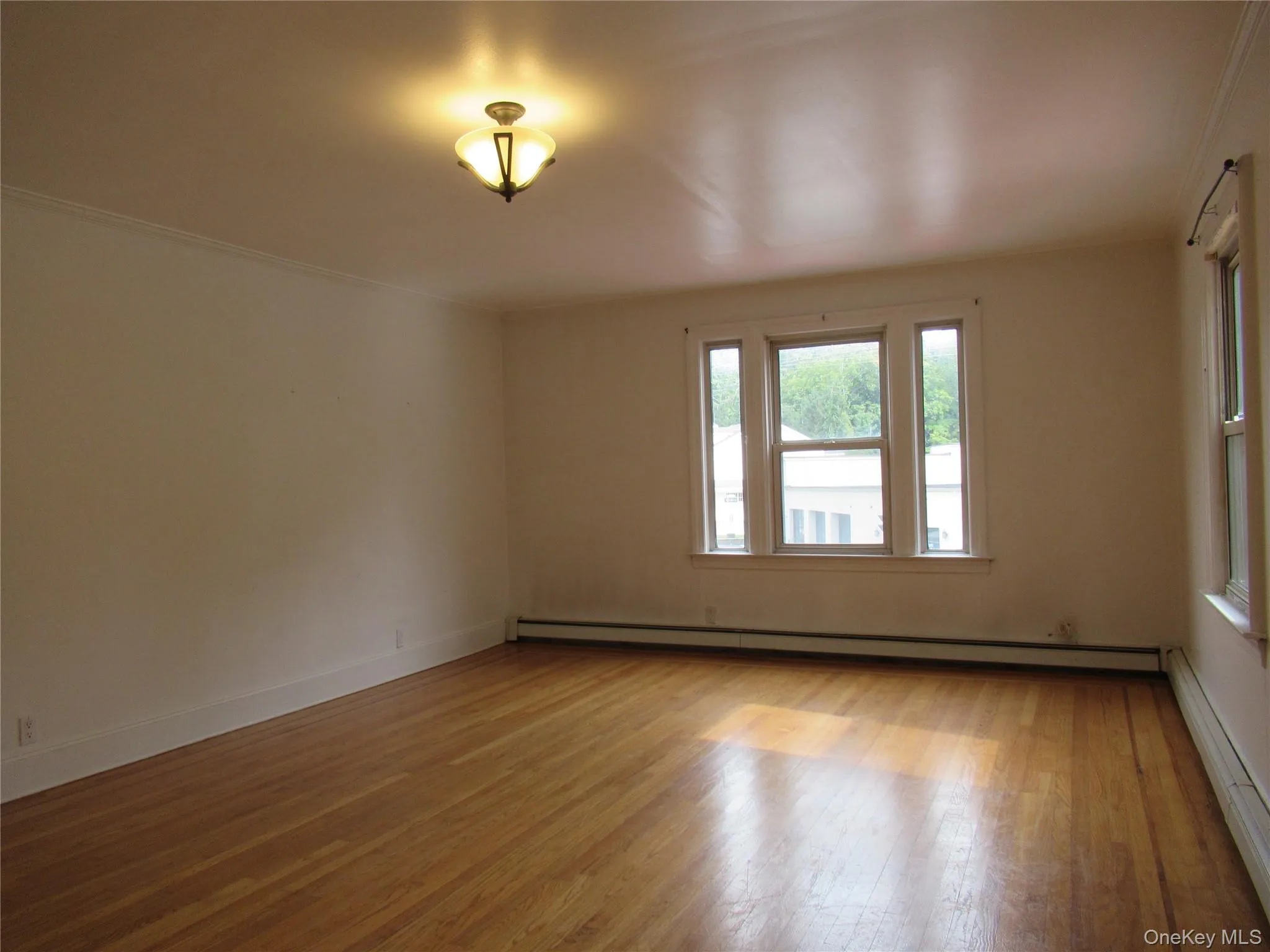 Enough room for a Dining Area or just great living space Enough room for a Dining Area or just great living space