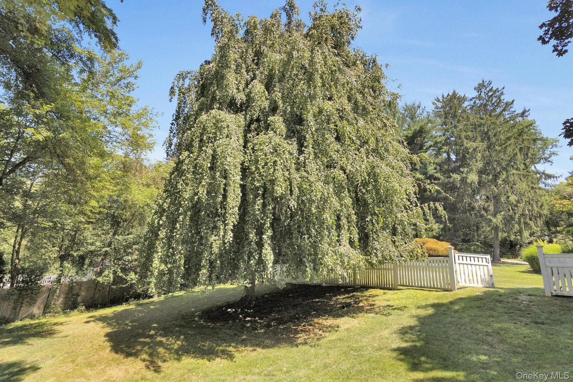 13 Sniffen Road, North Castle, NY, 4 Bedrooms Bedrooms, 12 Rooms Rooms,4 BathroomsBathrooms,Residential,For Rent,Sniffen,0,1055828 13 Sniffen Road, North Castle, NY, 4 Bedrooms Bedrooms, 12 Rooms Rooms,4 BathroomsBathrooms,Residential,For Rent,Sniffen,0,1055828