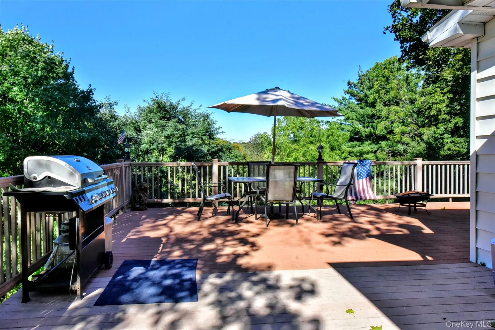 Large composite deck (left side view) Large composite deck (left side view)