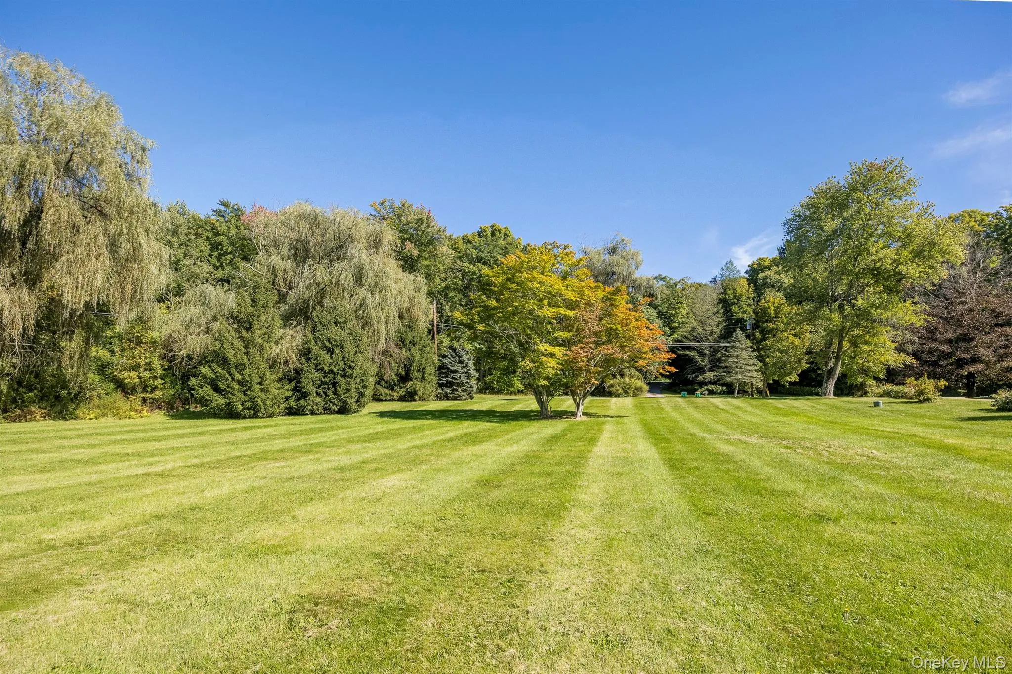 201 Masten Road, Pleasant Valley, NY, 4 Bedrooms Bedrooms, 12 Rooms Rooms,2 BathroomsBathrooms,Residential,For Rent,Masten,0,1055868 201 Masten Road, Pleasant Valley, NY, 4 Bedrooms Bedrooms, 12 Rooms Rooms,2 BathroomsBathrooms,Residential,For Rent,Masten,0,1055868