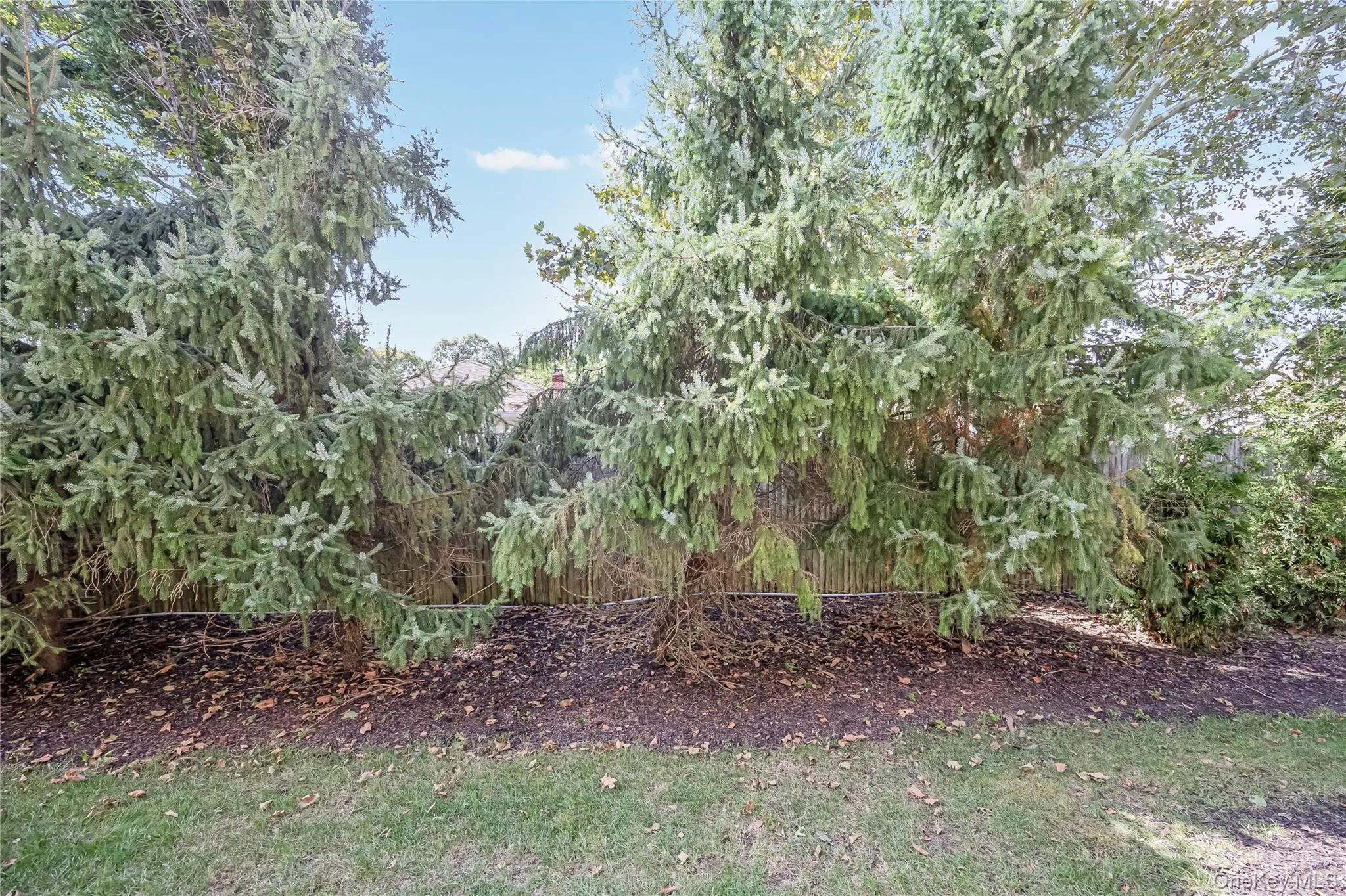 1003 Willow Lane, Hempstead, NY, 2 Bedrooms Bedrooms, 4 Rooms Rooms,2 BathroomsBathrooms,Residential,For Rent,Willow,0,1055871 1003 Willow Lane, Hempstead, NY, 2 Bedrooms Bedrooms, 4 Rooms Rooms,2 BathroomsBathrooms,Residential,For Rent,Willow,0,1055871