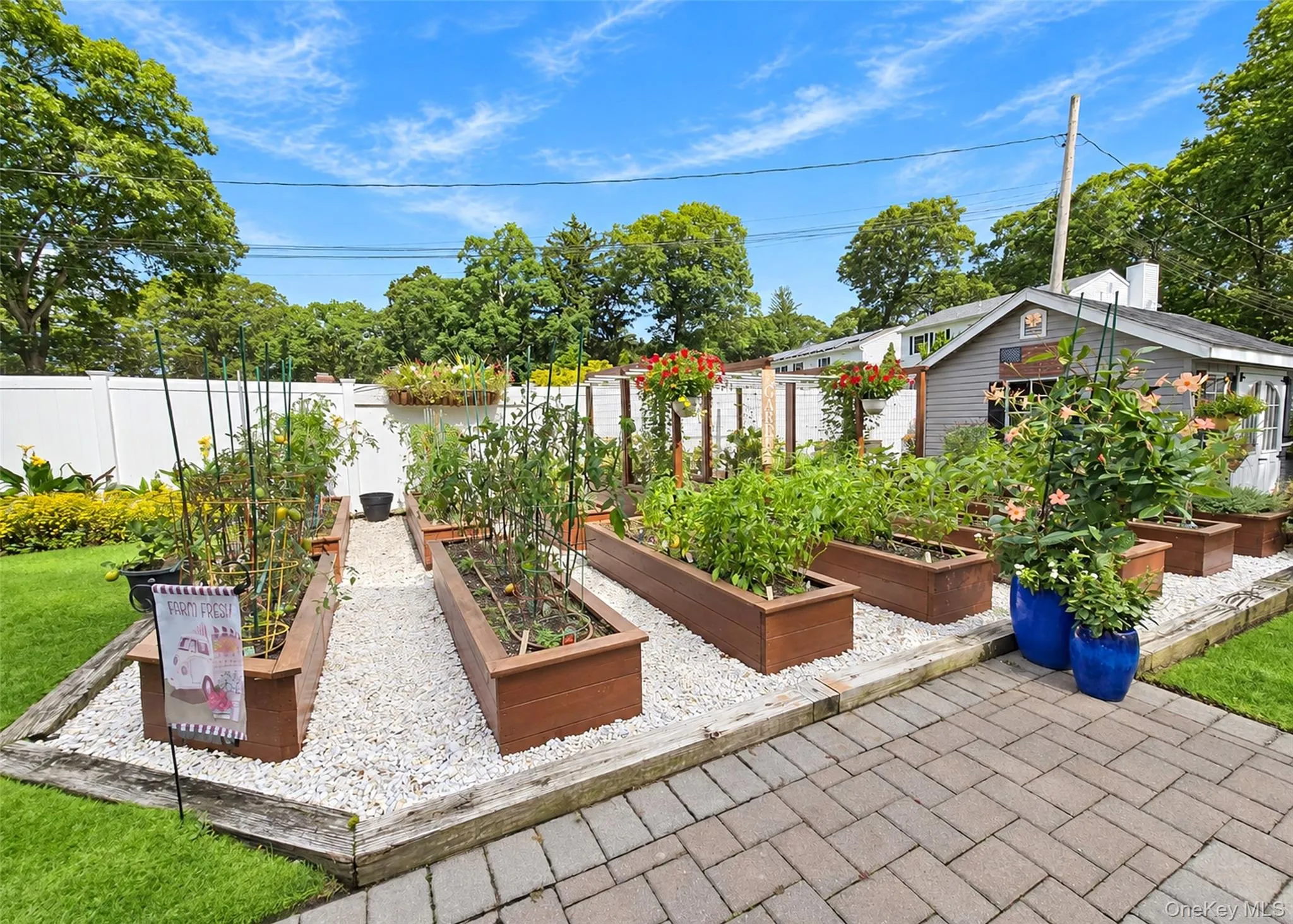521 Park Avenue, Brookhaven, NY, 4 Bedrooms Bedrooms, 9 Rooms Rooms,2 BathroomsBathrooms,Residential,For Rent,Park,0,1055898 521 Park Avenue, Brookhaven, NY, 4 Bedrooms Bedrooms, 9 Rooms Rooms,2 BathroomsBathrooms,Residential,For Rent,Park,0,1055898