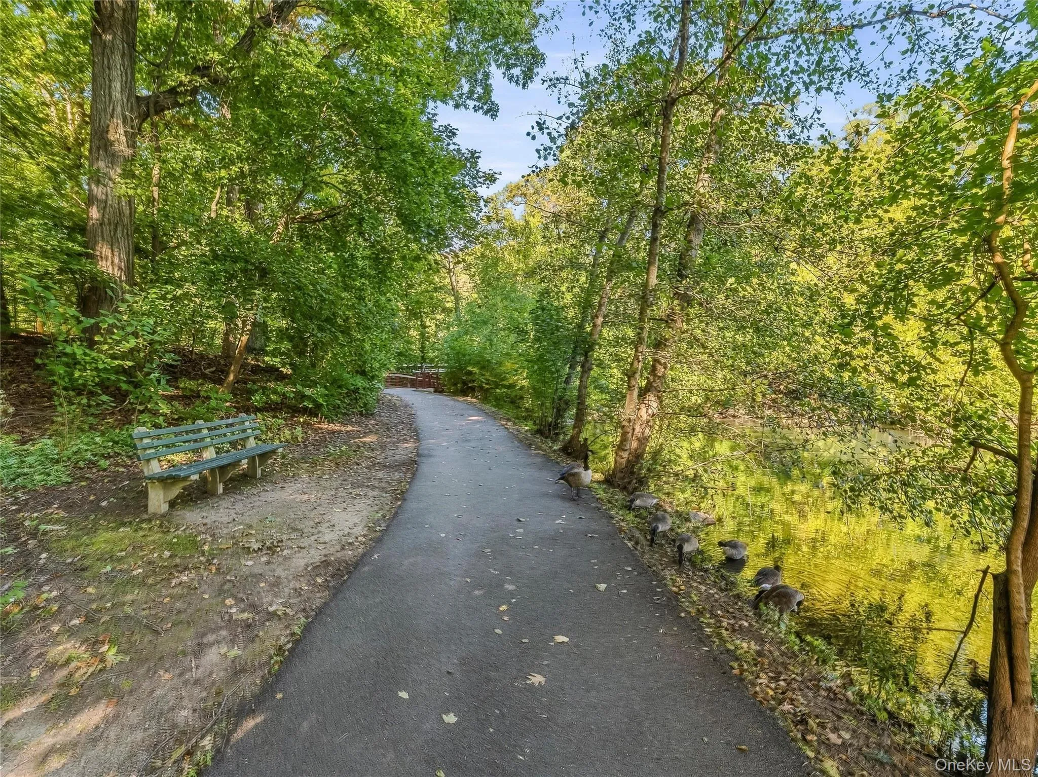 Bronx River Preserve Bronx River Preserve