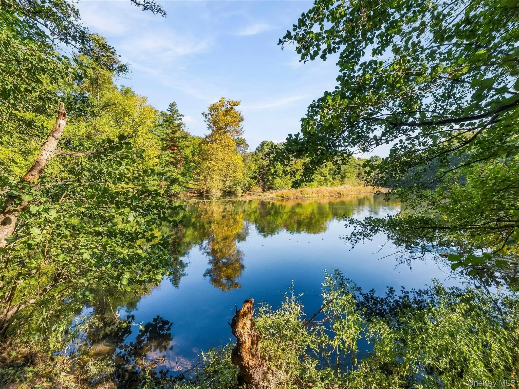 Enjoy the peace and tranquility of the Bronx River Preserve just steps away Enjoy the peace and tranquility of the Bronx River Preserve just steps away