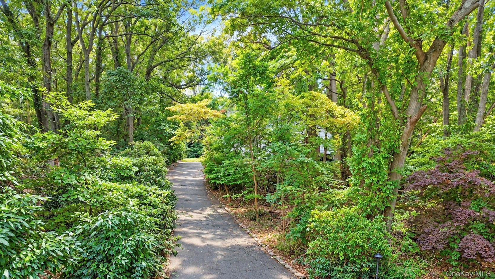 2 Glenwater Lane, Brookhaven, NY, 4 Bedrooms Bedrooms, 8 Rooms Rooms,2 BathroomsBathrooms,Residential,For Rent,Glenwater,0,1055947 2 Glenwater Lane, Brookhaven, NY, 4 Bedrooms Bedrooms, 8 Rooms Rooms,2 BathroomsBathrooms,Residential,For Rent,Glenwater,0,1055947