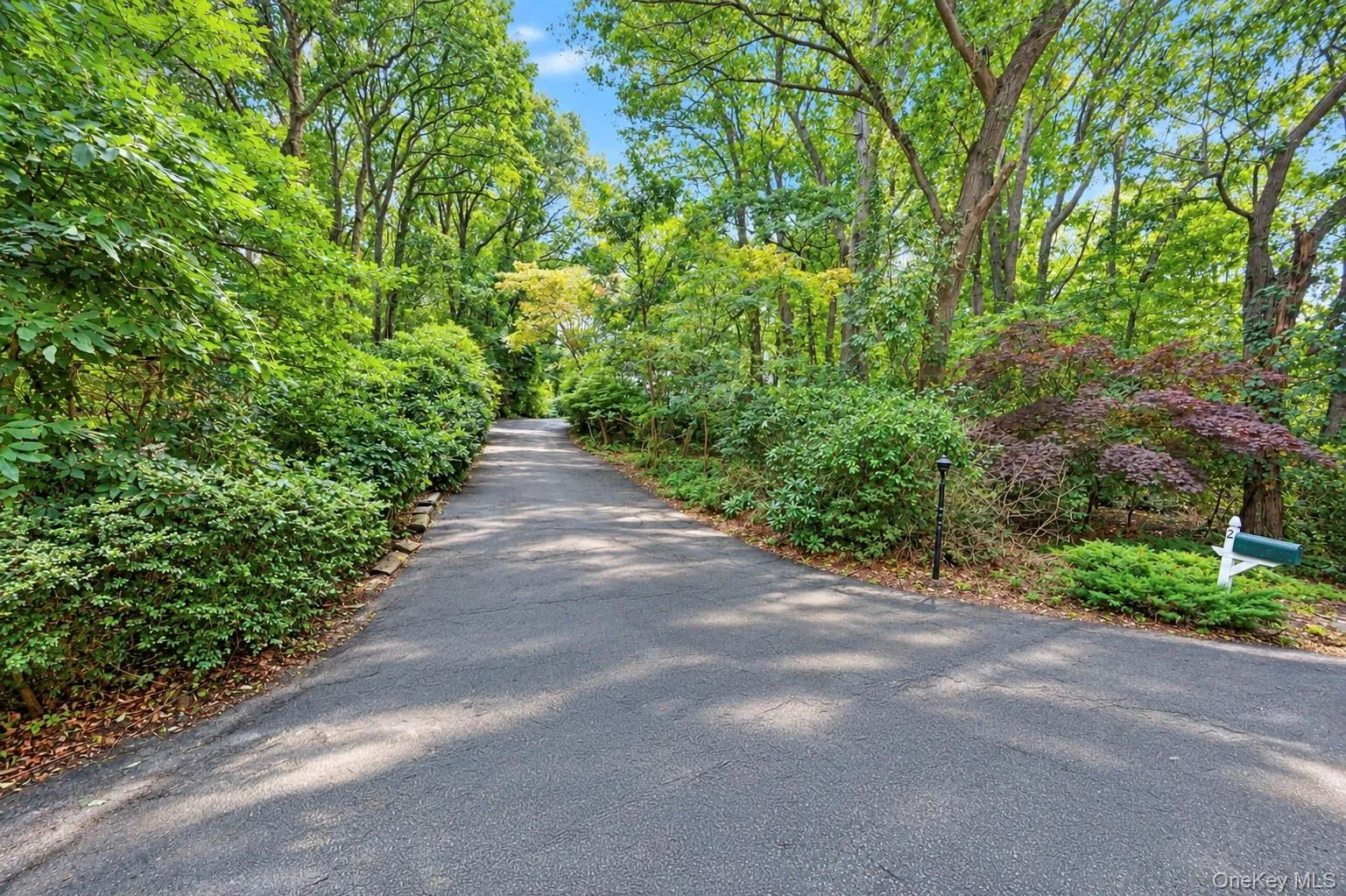 2 Glenwater Lane, Brookhaven, NY, 4 Bedrooms Bedrooms, 8 Rooms Rooms,2 BathroomsBathrooms,Residential,For Rent,Glenwater,0,1055947 2 Glenwater Lane, Brookhaven, NY, 4 Bedrooms Bedrooms, 8 Rooms Rooms,2 BathroomsBathrooms,Residential,For Rent,Glenwater,0,1055947