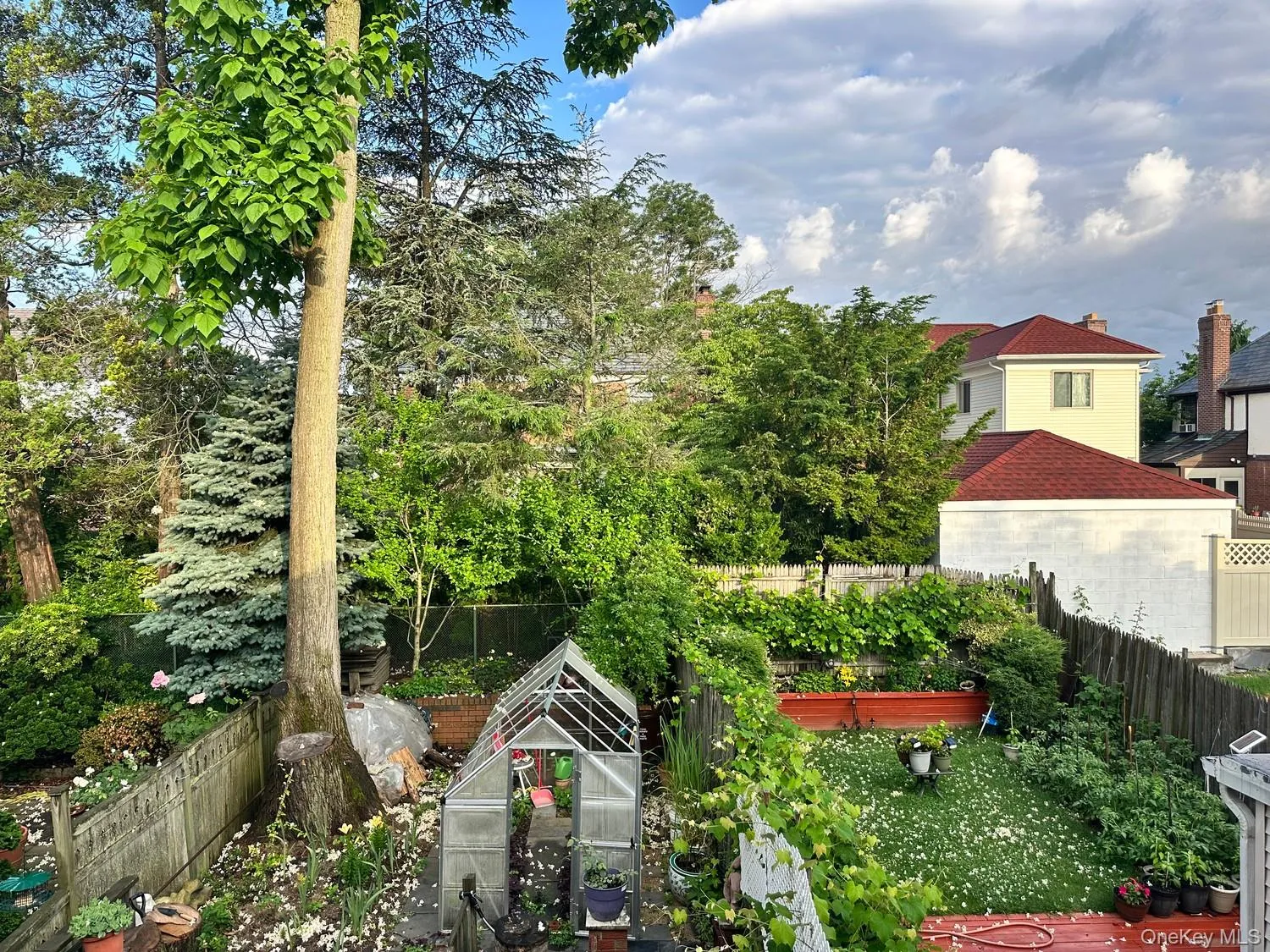 backyard Garden View backyard Garden View