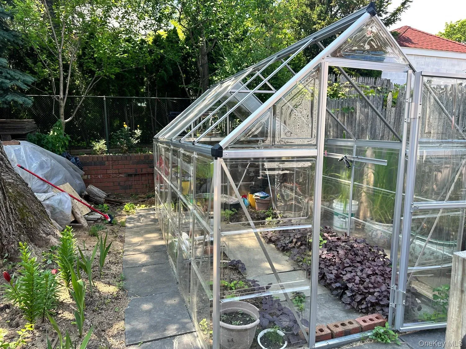 Charming Greenhouse nested in backyard, Perfect for gardening enthusiasts Charming Greenhouse nested in backyard, Perfect for gardening enthusiasts