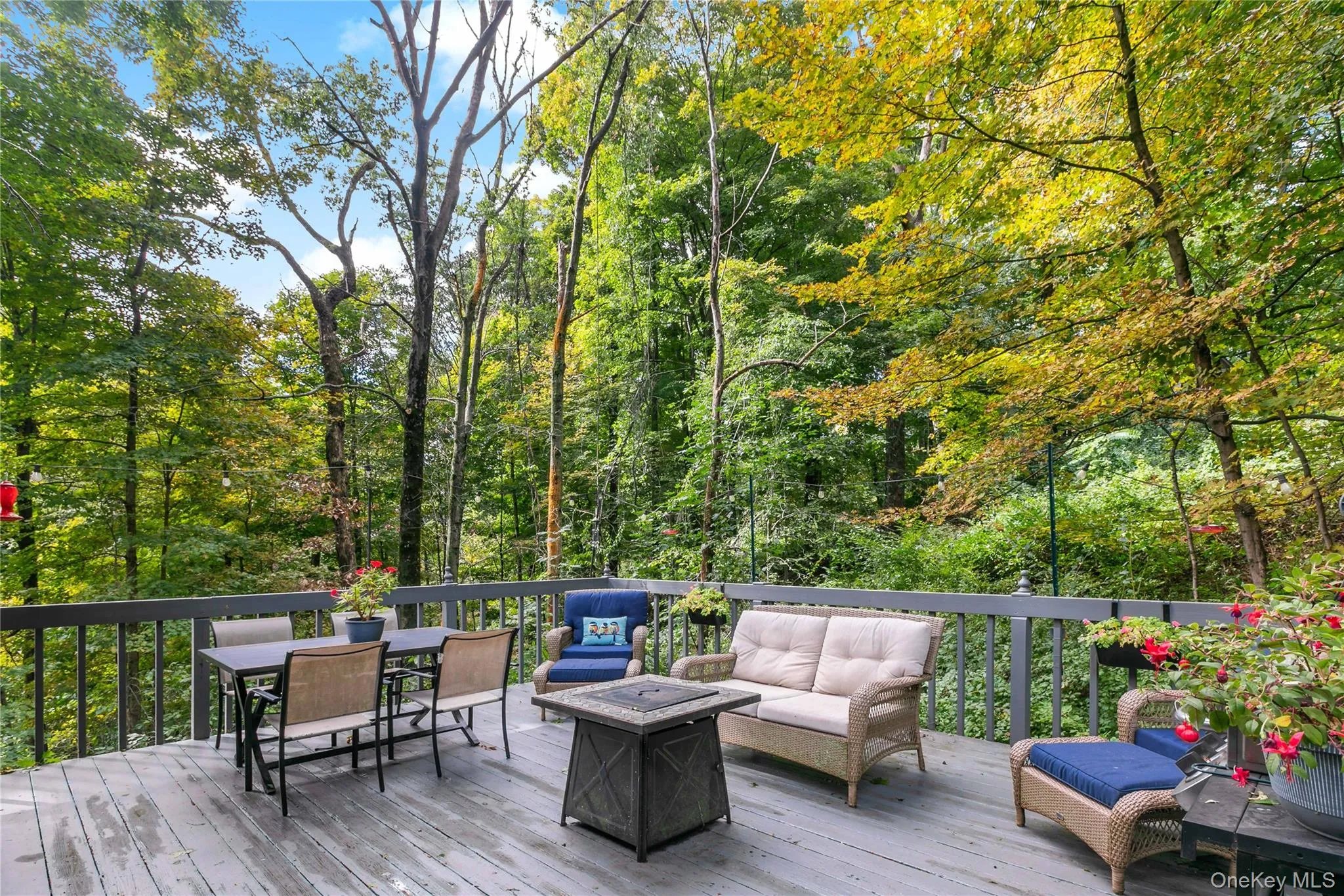 Another angle of deck and setting. Another angle of deck and setting.