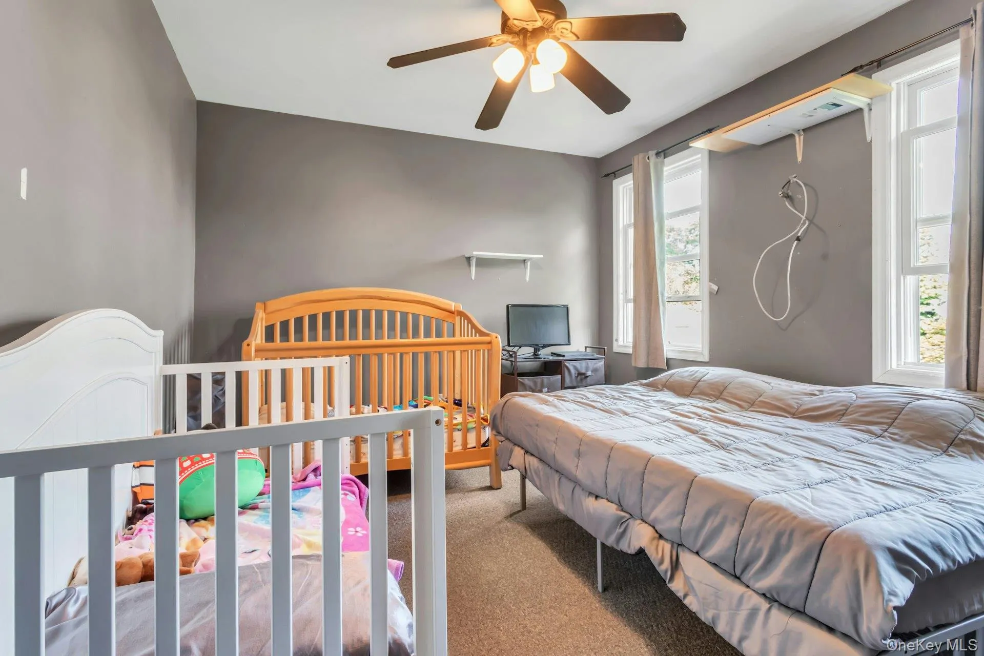 Room with neutral wall color and carpet flooring, featuring a ceiling fan with integrated lighting, and two windows providing natural illumination Room with neutral wall color and carpet flooring, featuring a ceiling fan with integrated lighting, and two windows providing natural illumination
