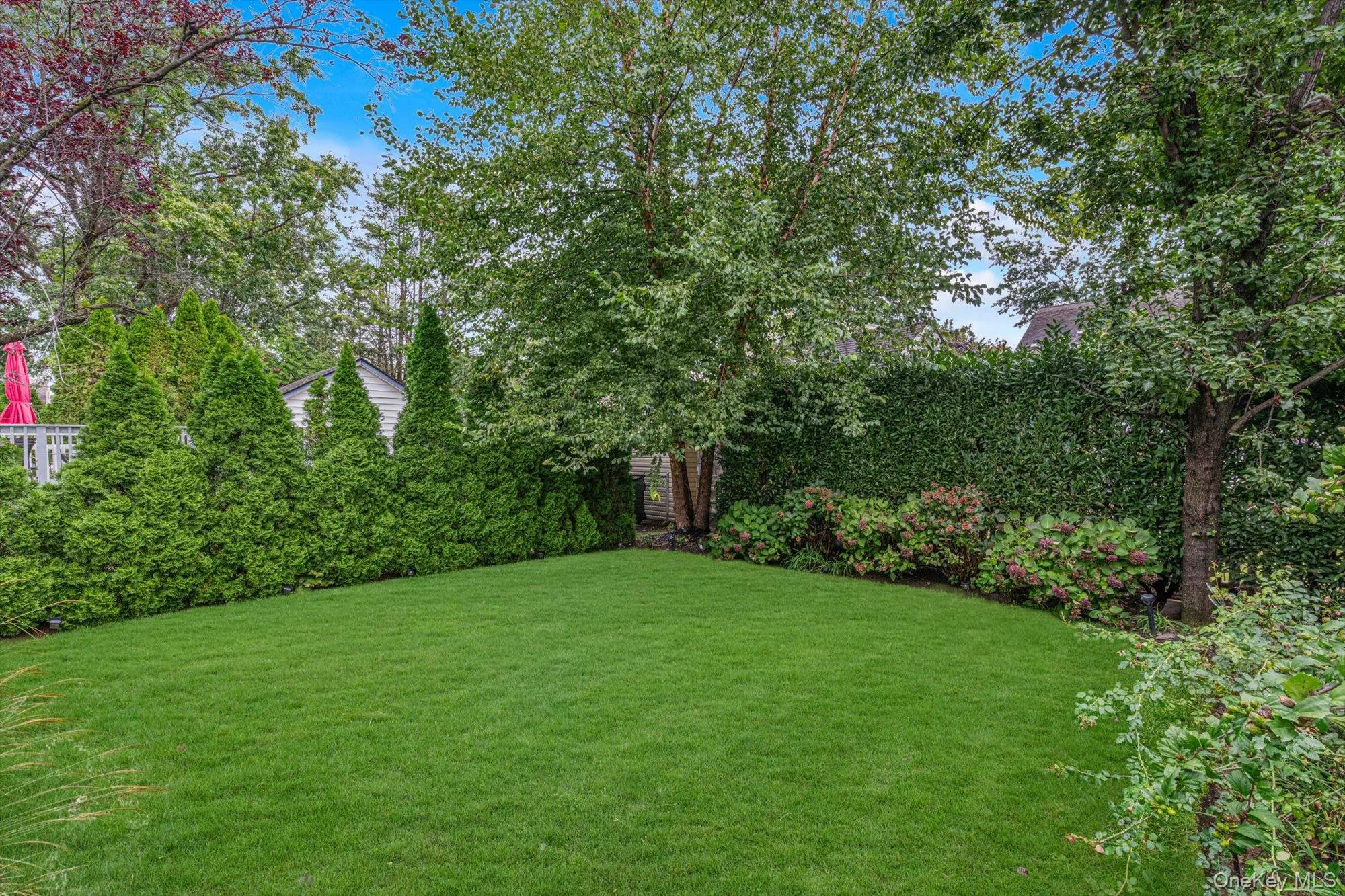 91 Geranium Avenue, Hempstead, NY, 3 Bedrooms Bedrooms, 7 Rooms Rooms,1 BathroomBathrooms,Residential,For Rent,Geranium,0,1056059 91 Geranium Avenue, Hempstead, NY, 3 Bedrooms Bedrooms, 7 Rooms Rooms,1 BathroomBathrooms,Residential,For Rent,Geranium,0,1056059