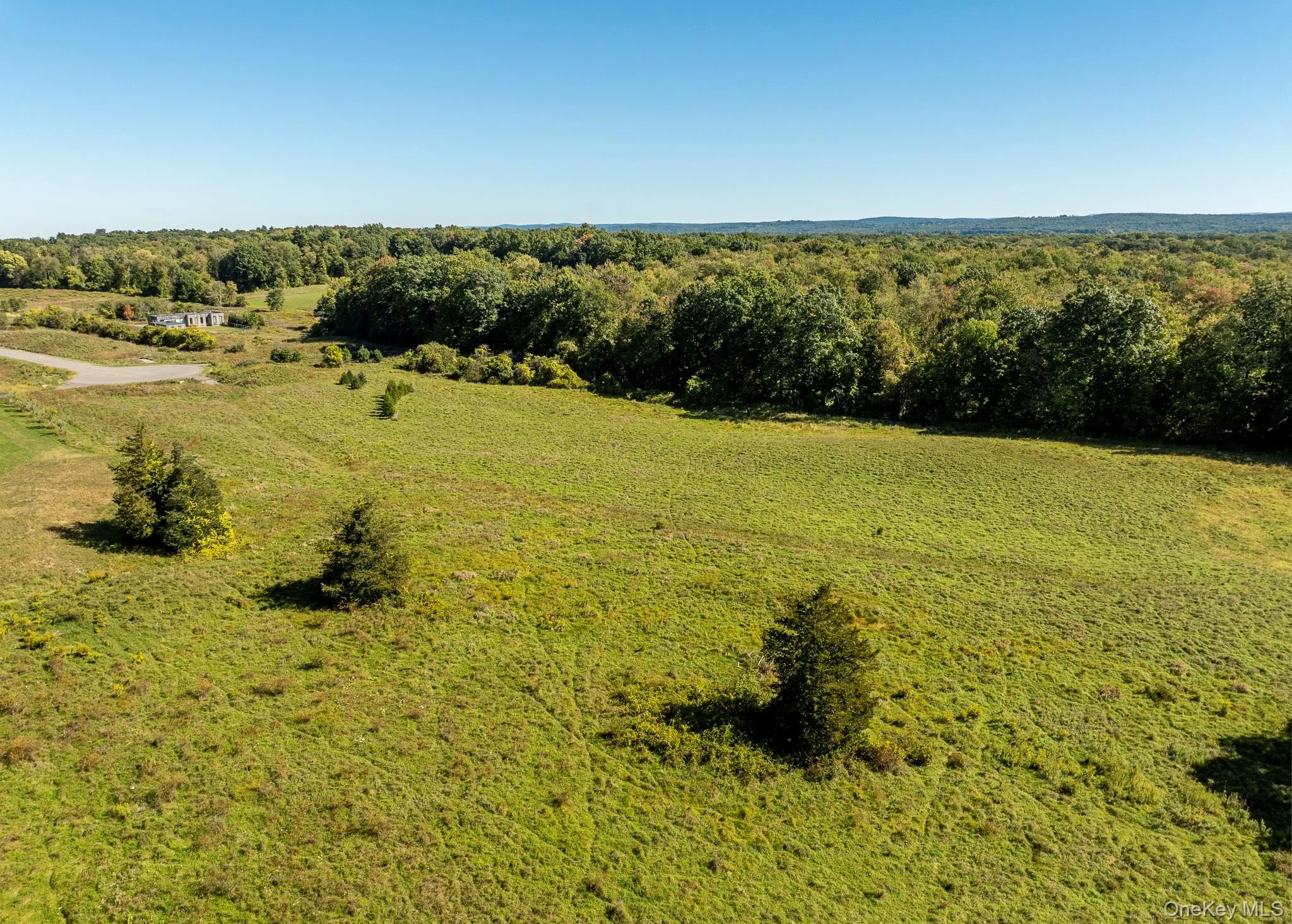 The view looking out from where you might build your home. The view looking out from where you might build your home.