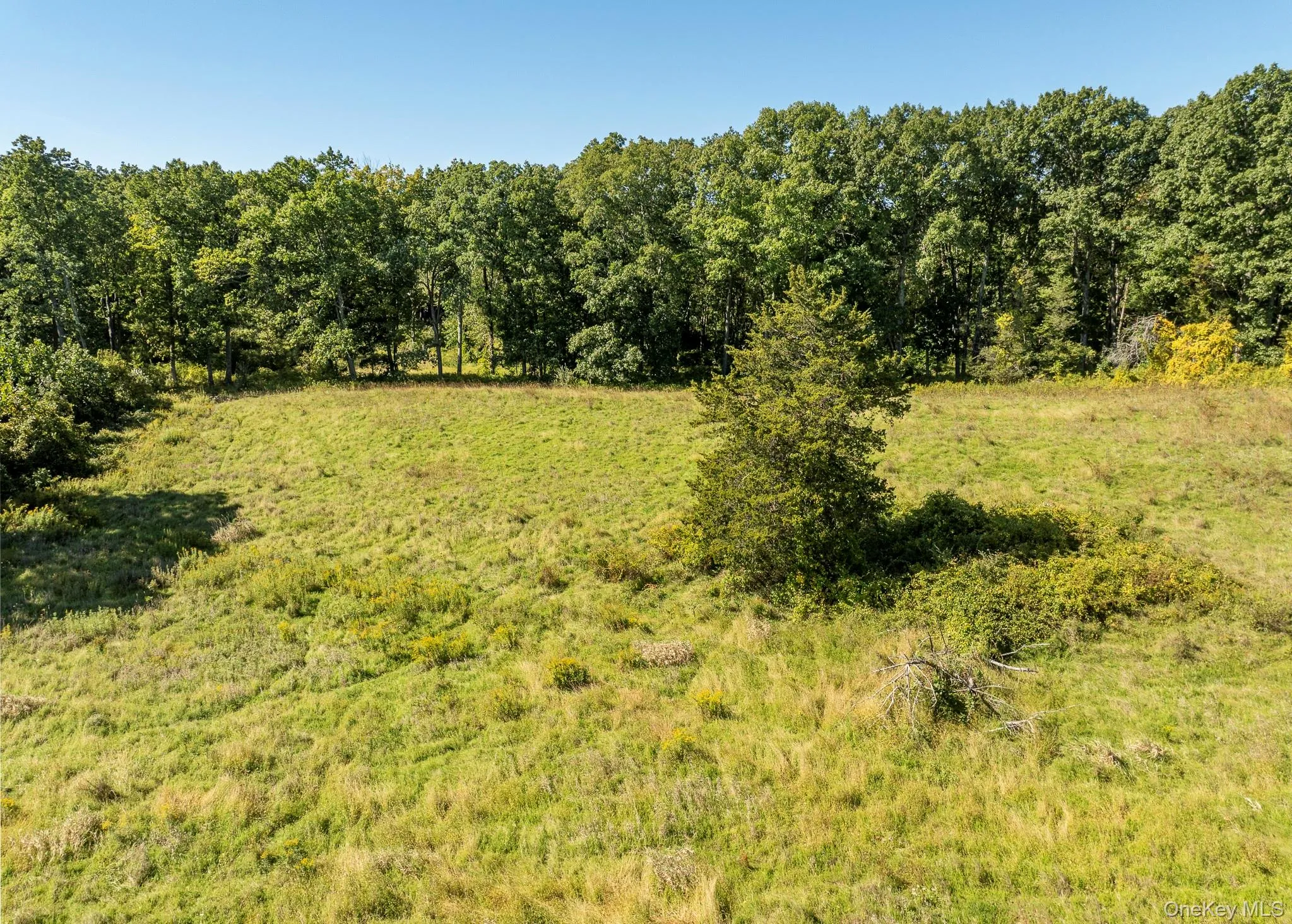 Looking straight on into the cleared part of the property. Looking straight on into the cleared part of the property.