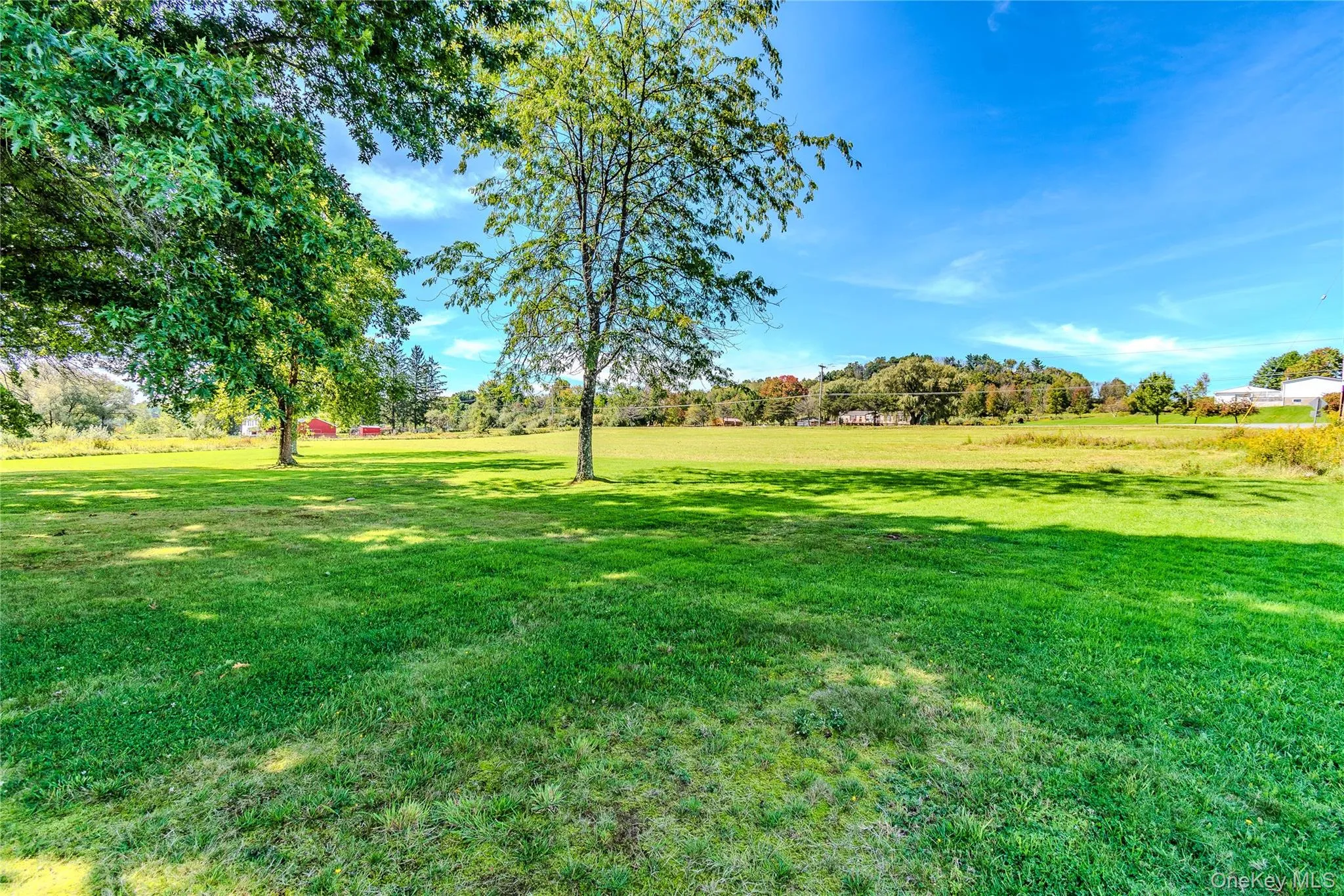 Expansive grass field with scattered mature trees and distant structures Expansive grass field with scattered mature trees and distant structures