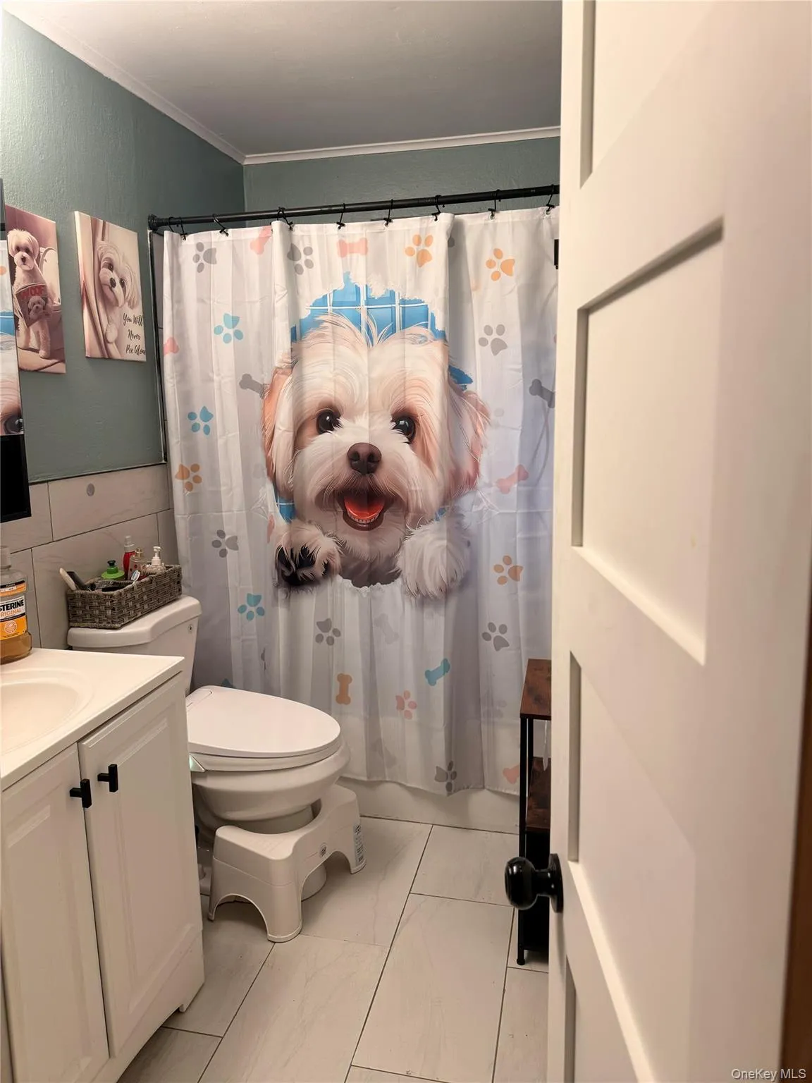 5 Ivy Road, Mamakating, NY, 3 Bedroom Bedrooms, 7 Room Rooms,2 BathroomBathrooms,Residential Lease,For Rent,Ivy,0,1056112 5 Ivy Road, Mamakating, NY, 3 Bedroom Bedrooms, 7 Room Rooms,2 BathroomBathrooms,Residential Lease,For Rent,Ivy,0,1056112