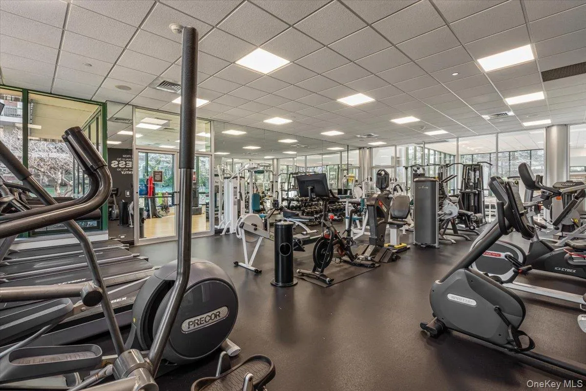 Gym Room Gym Room