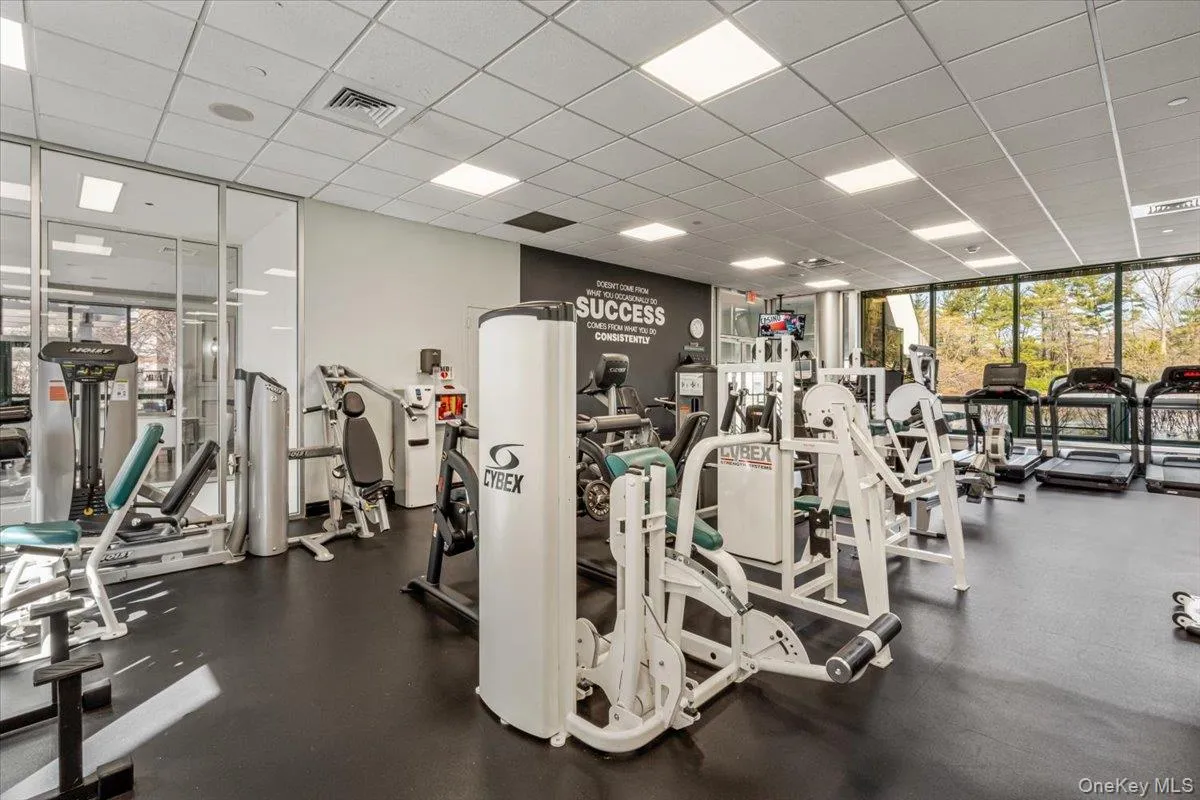 Gym Room Gym Room