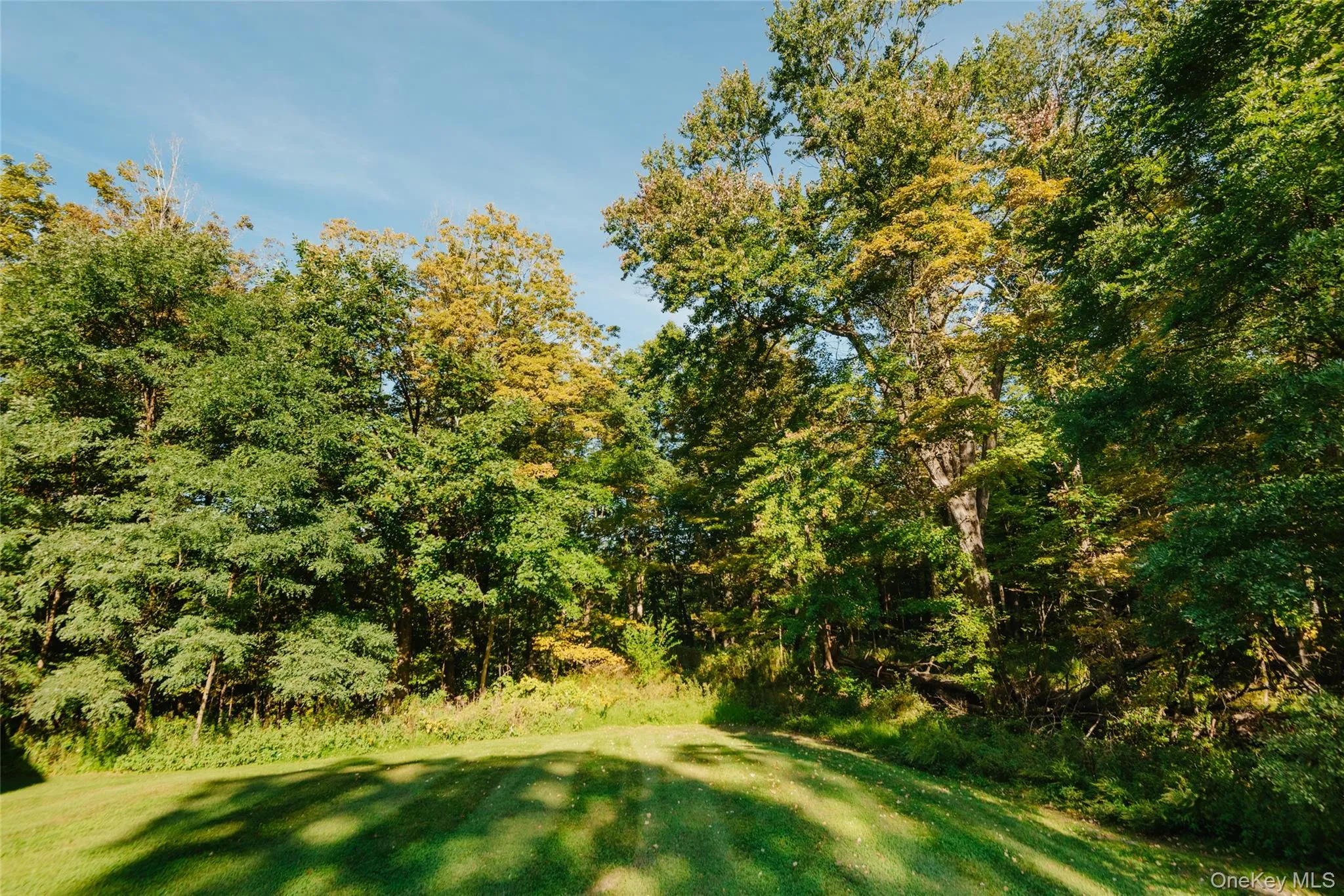 303 Old Stage Road, Ulster, NY, 2 Bedrooms Bedrooms, 6 Rooms Rooms,2 BathroomsBathrooms,Residential,For Rent,Old Stage,0,1056165 303 Old Stage Road, Ulster, NY, 2 Bedrooms Bedrooms, 6 Rooms Rooms,2 BathroomsBathrooms,Residential,For Rent,Old Stage,0,1056165