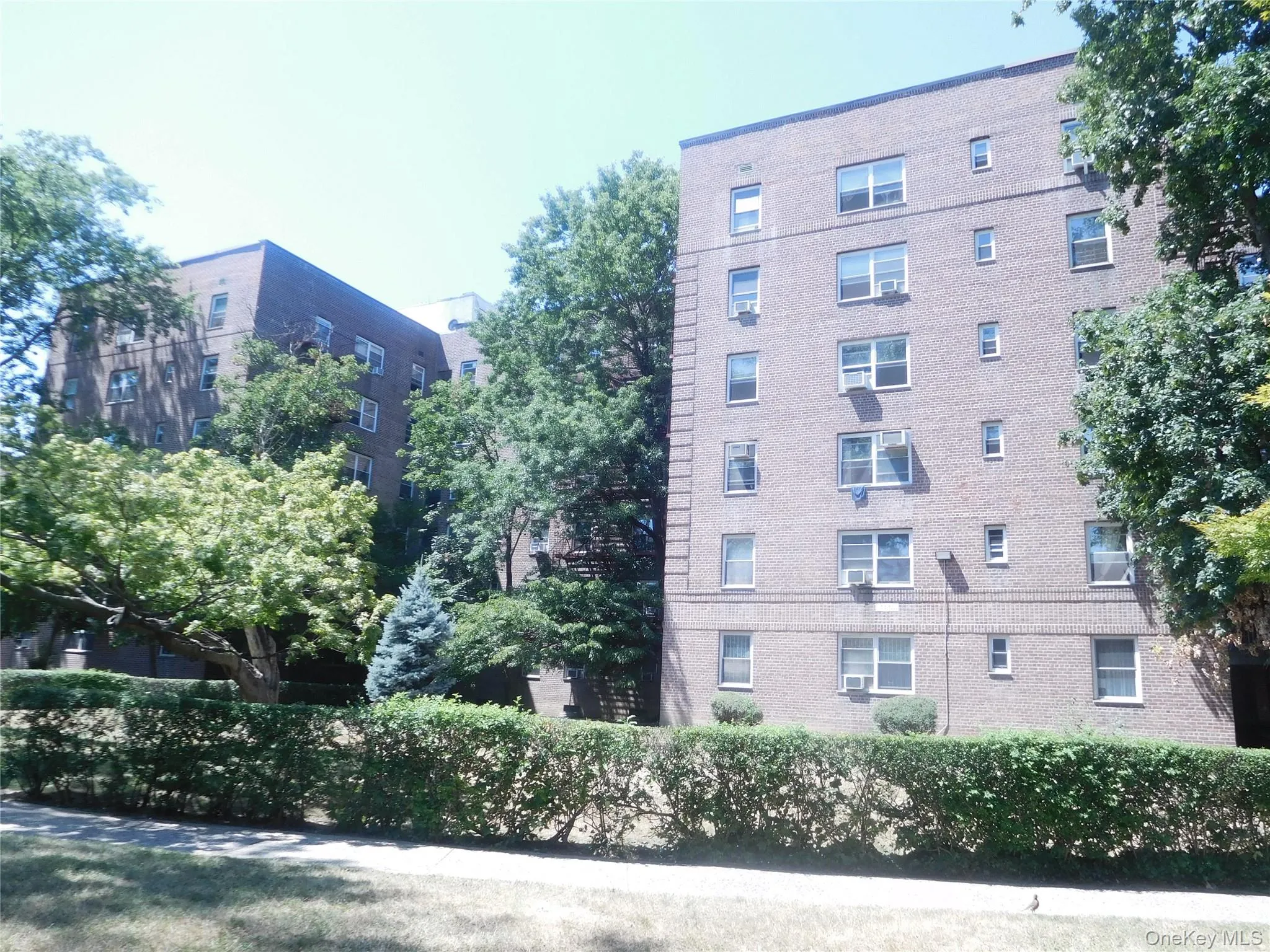 147-35 38th Ave, New York, NY, 1 Bedroom Bedrooms, 3 Rooms Rooms,1 BathroomBathrooms,Residential,For Rent,38th Ave,0,1056167 147-35 38th Ave, New York, NY, 1 Bedroom Bedrooms, 3 Rooms Rooms,1 BathroomBathrooms,Residential,For Rent,38th Ave,0,1056167