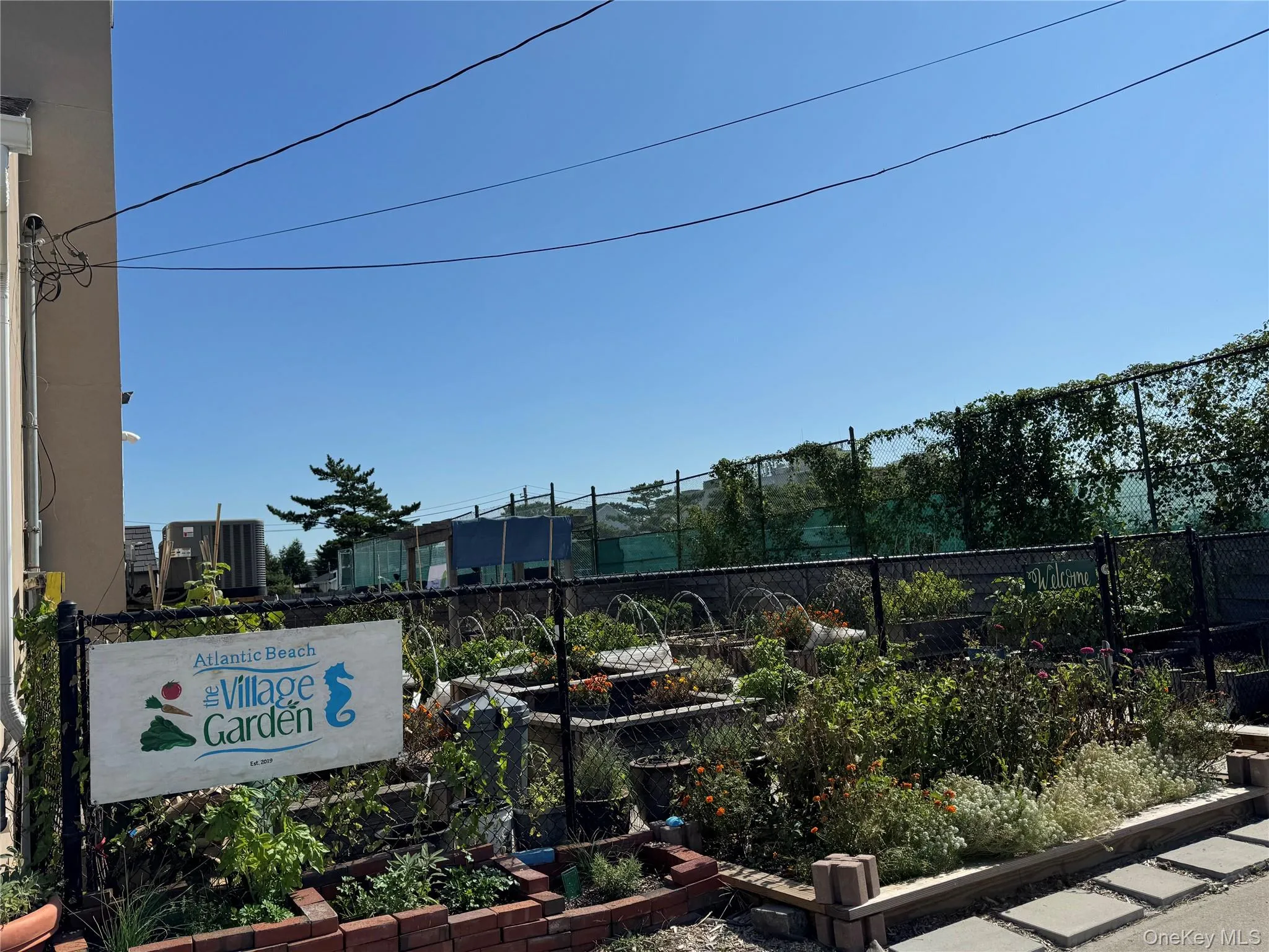 Community garden Community garden