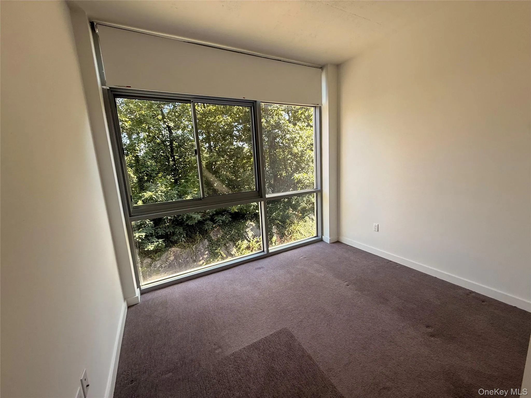 250 Central Park Avenue, Greenburgh, NY, 2 Bedroom Bedrooms, 5 Room Rooms,1 BathroomBathrooms,Residential Lease,For Rent,Central Park,0,1056179 250 Central Park Avenue, Greenburgh, NY, 2 Bedroom Bedrooms, 5 Room Rooms,1 BathroomBathrooms,Residential Lease,For Rent,Central Park,0,1056179
