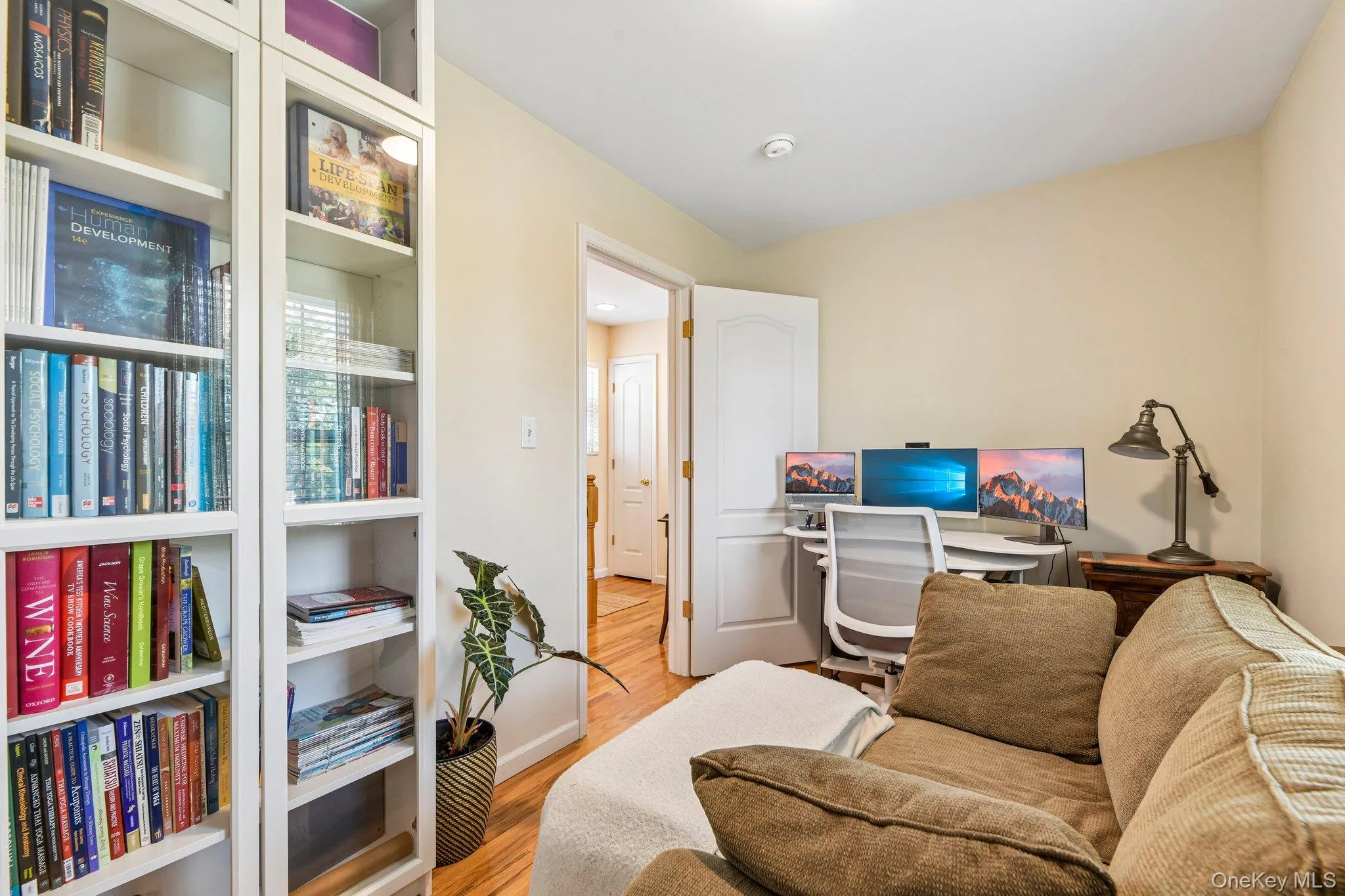 Den/office Den/office