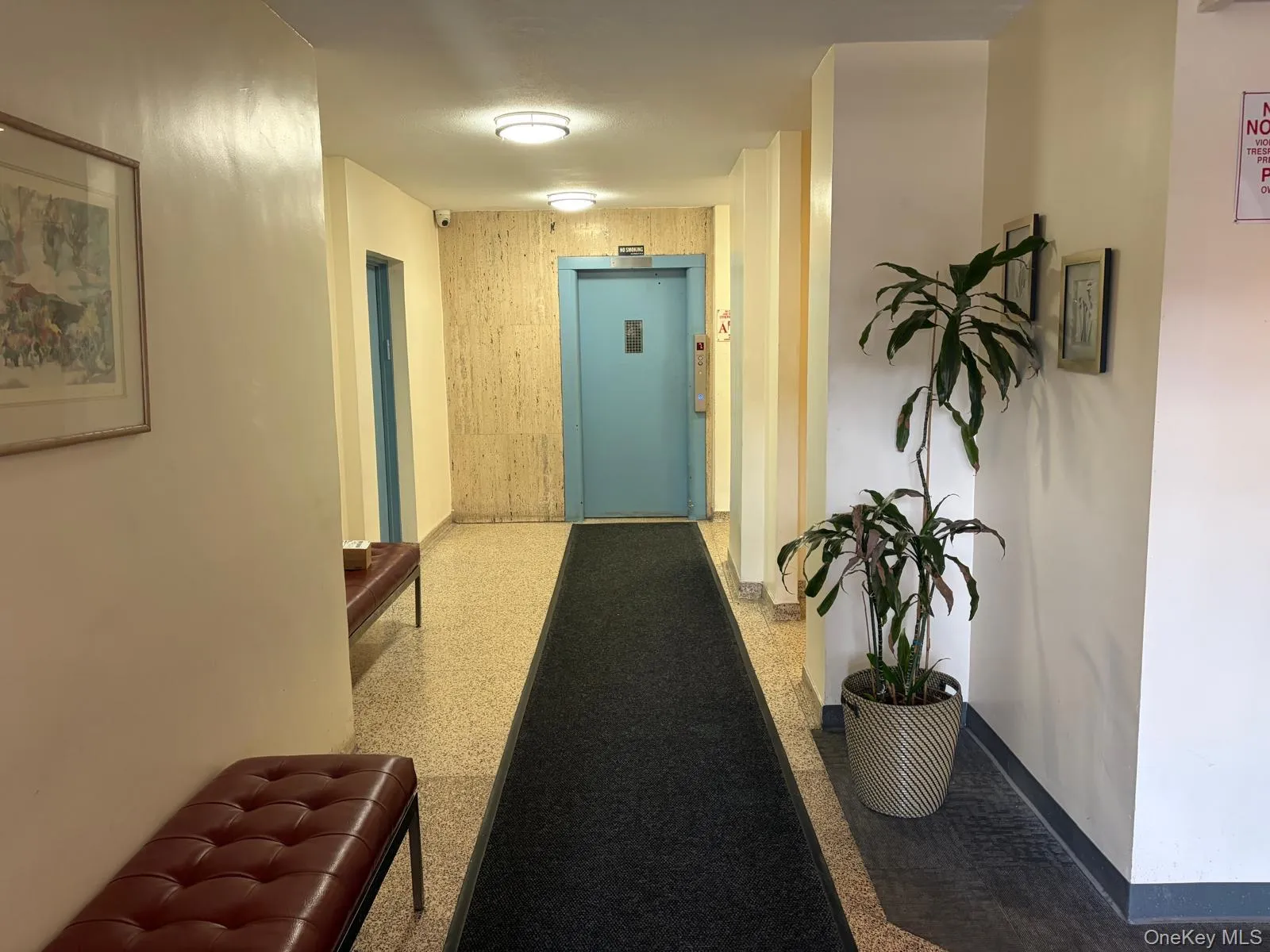 100-26 67 Road, New York, NY, 2 Bedrooms Bedrooms, 4 Rooms Rooms,1 BathroomBathrooms,Residential,For Rent,67 Road,0,1056190 100-26 67 Road, New York, NY, 2 Bedrooms Bedrooms, 4 Rooms Rooms,1 BathroomBathrooms,Residential,For Rent,67 Road,0,1056190