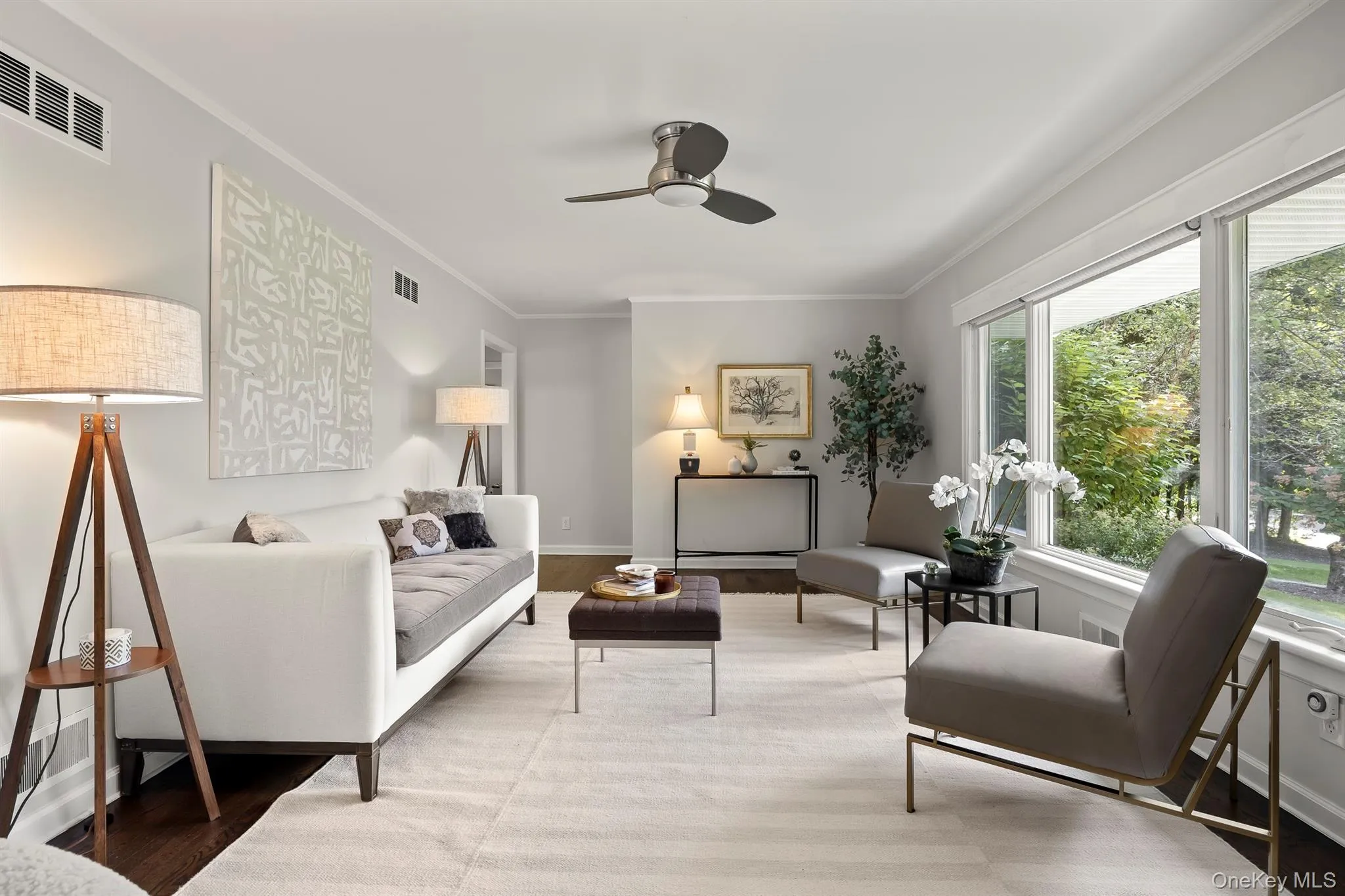 The entire home enjoys great light The entire home enjoys great light