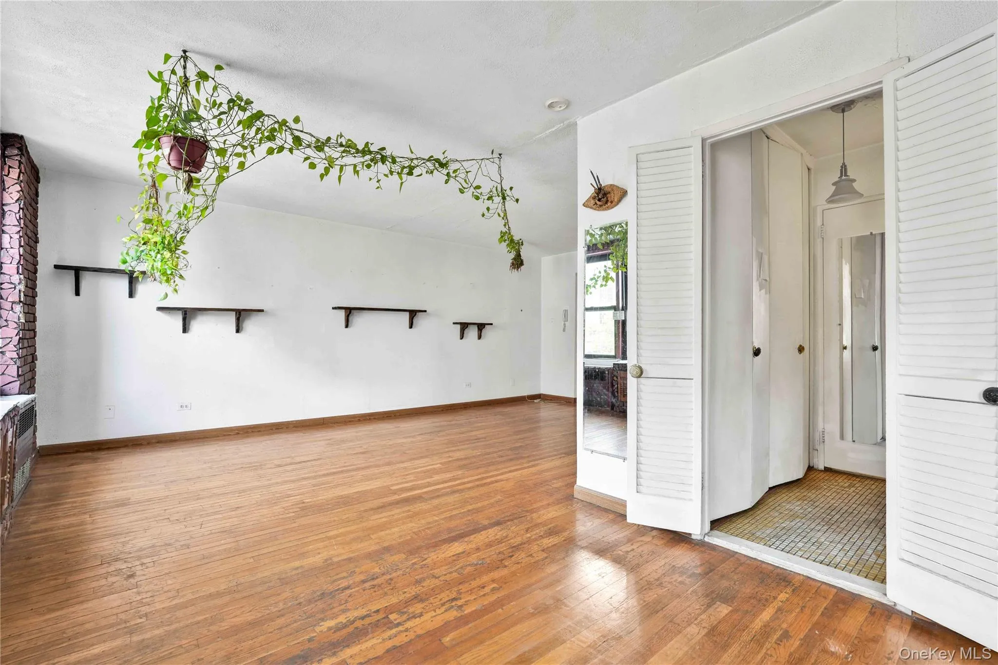 35-20 Leverich st Street, New York, NY, 3 Rooms Rooms,1 BathroomBathrooms,Residential,For Rent,Leverich st,0,1056205 35-20 Leverich st Street, New York, NY, 3 Rooms Rooms,1 BathroomBathrooms,Residential,For Rent,Leverich st,0,1056205