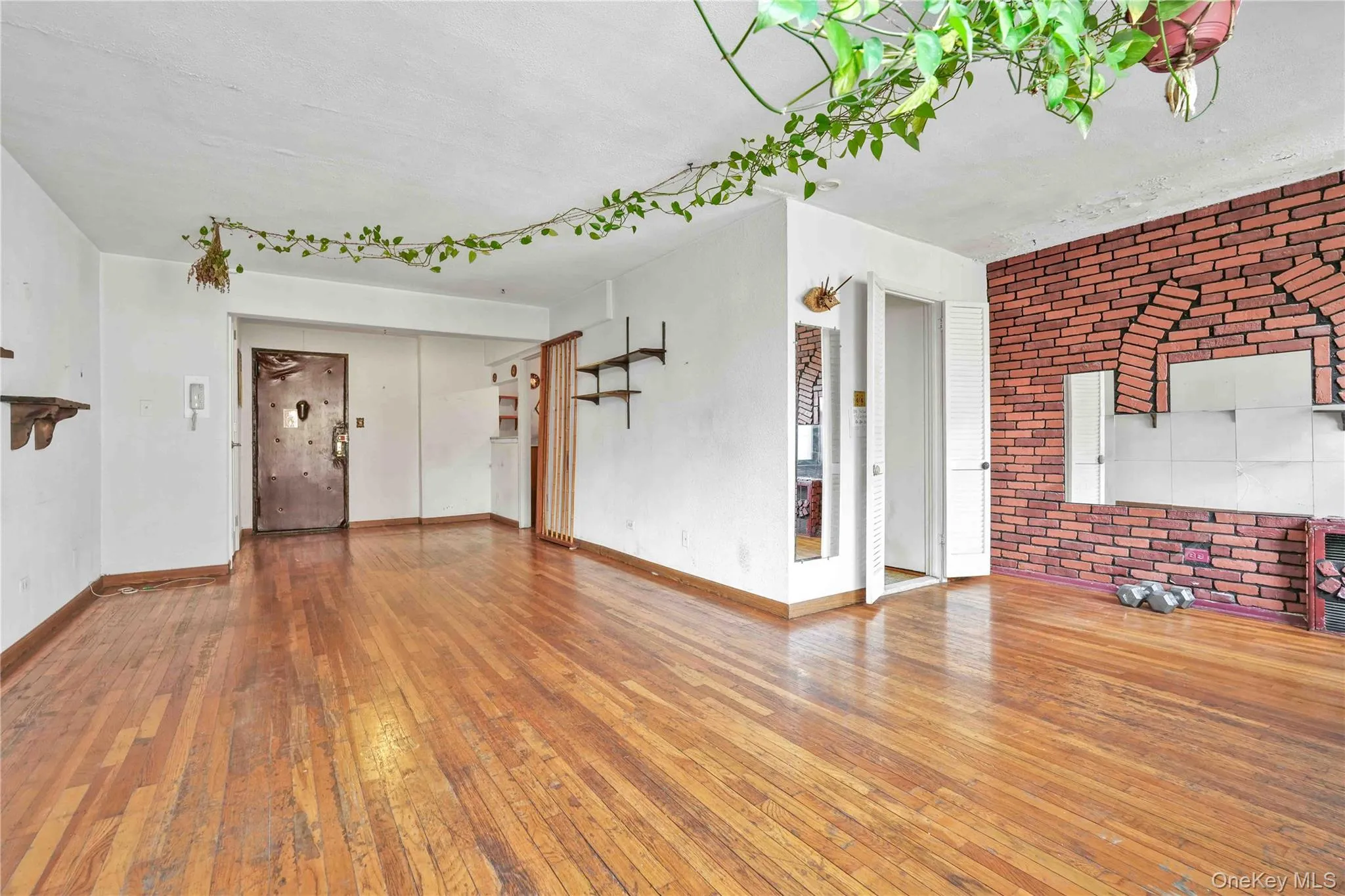 35-20 Leverich st Street, New York, NY, 3 Rooms Rooms,1 BathroomBathrooms,Residential,For Rent,Leverich st,0,1056205 35-20 Leverich st Street, New York, NY, 3 Rooms Rooms,1 BathroomBathrooms,Residential,For Rent,Leverich st,0,1056205